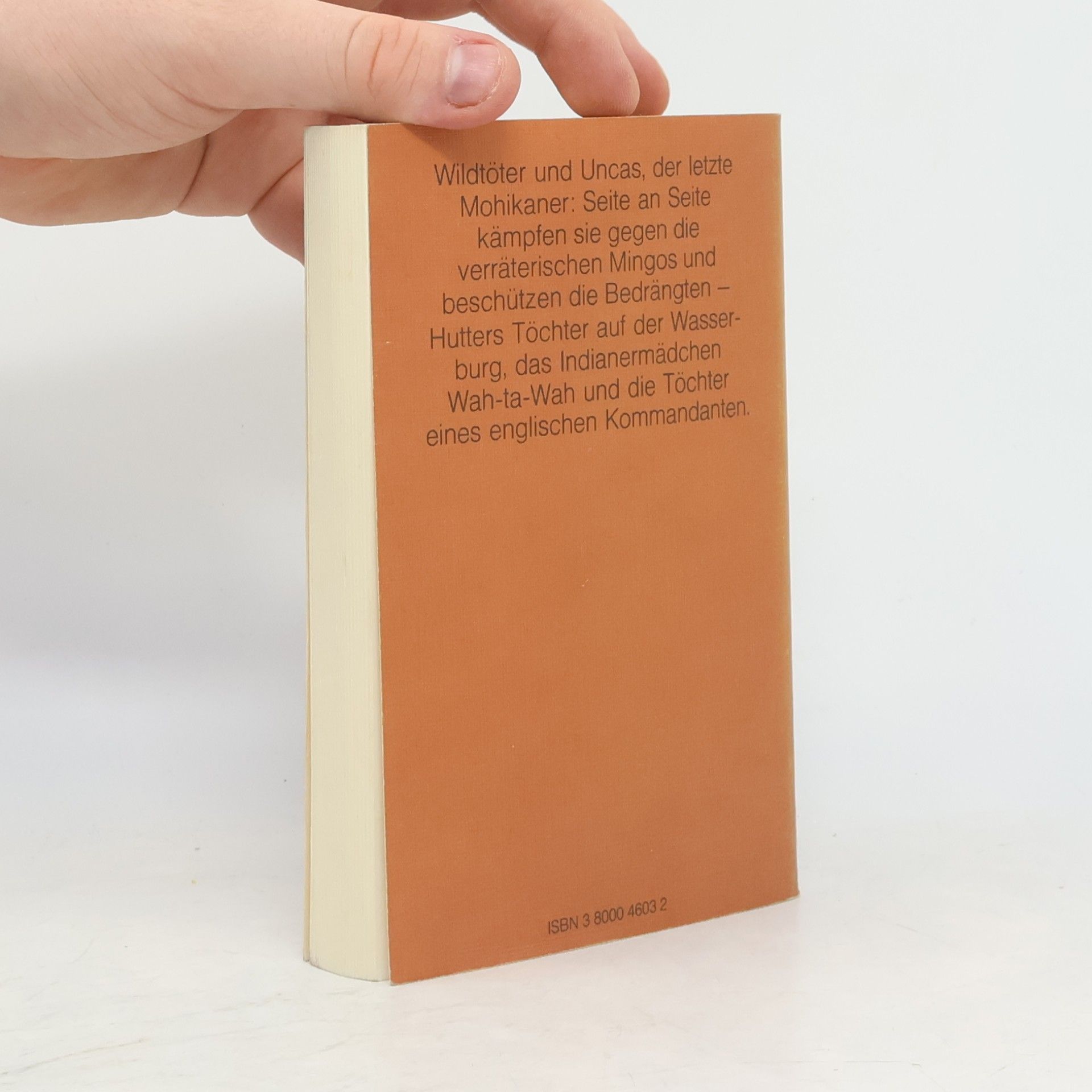 James Fenimore Cooper Lederstrumpf