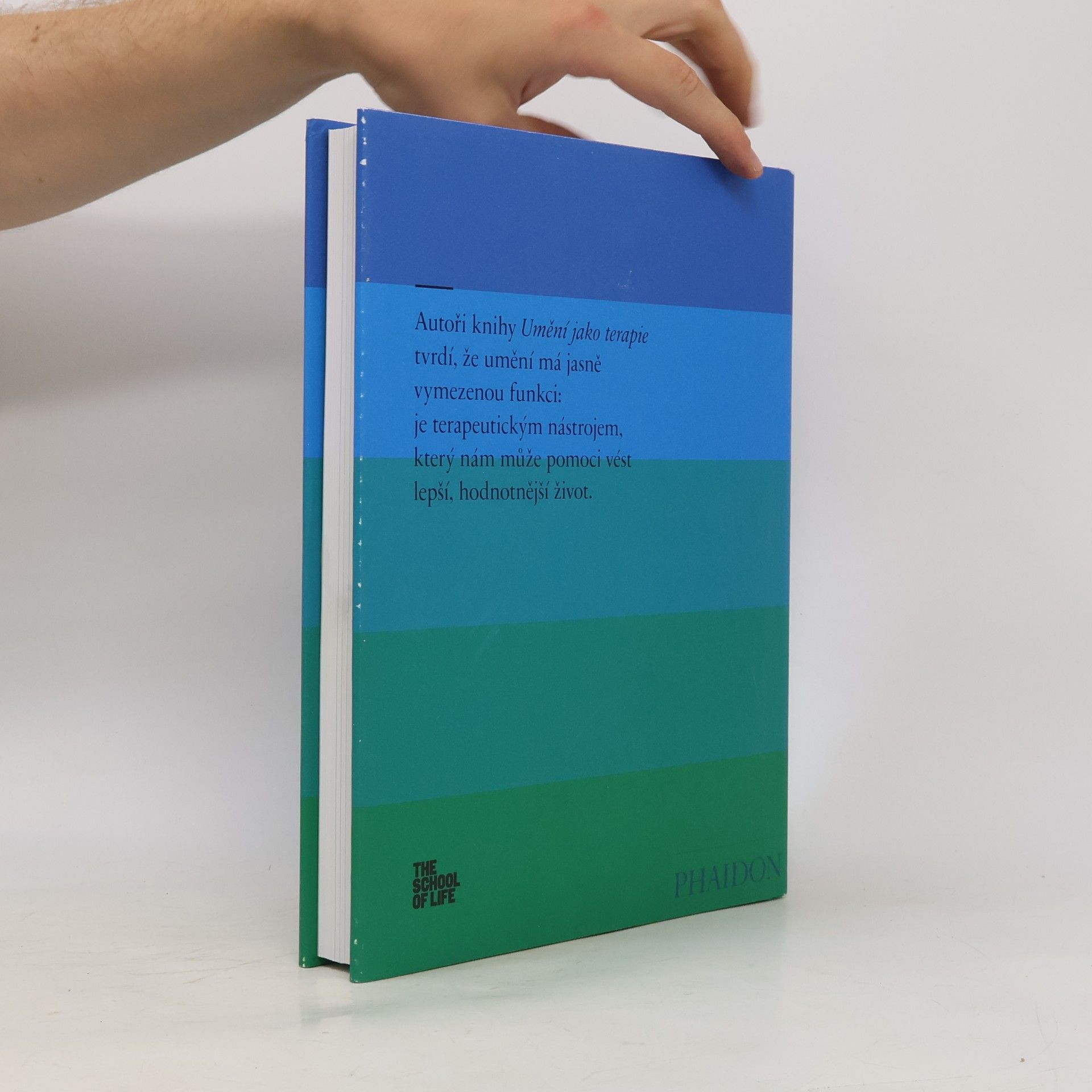 Alain de Botton Umění jako terapie