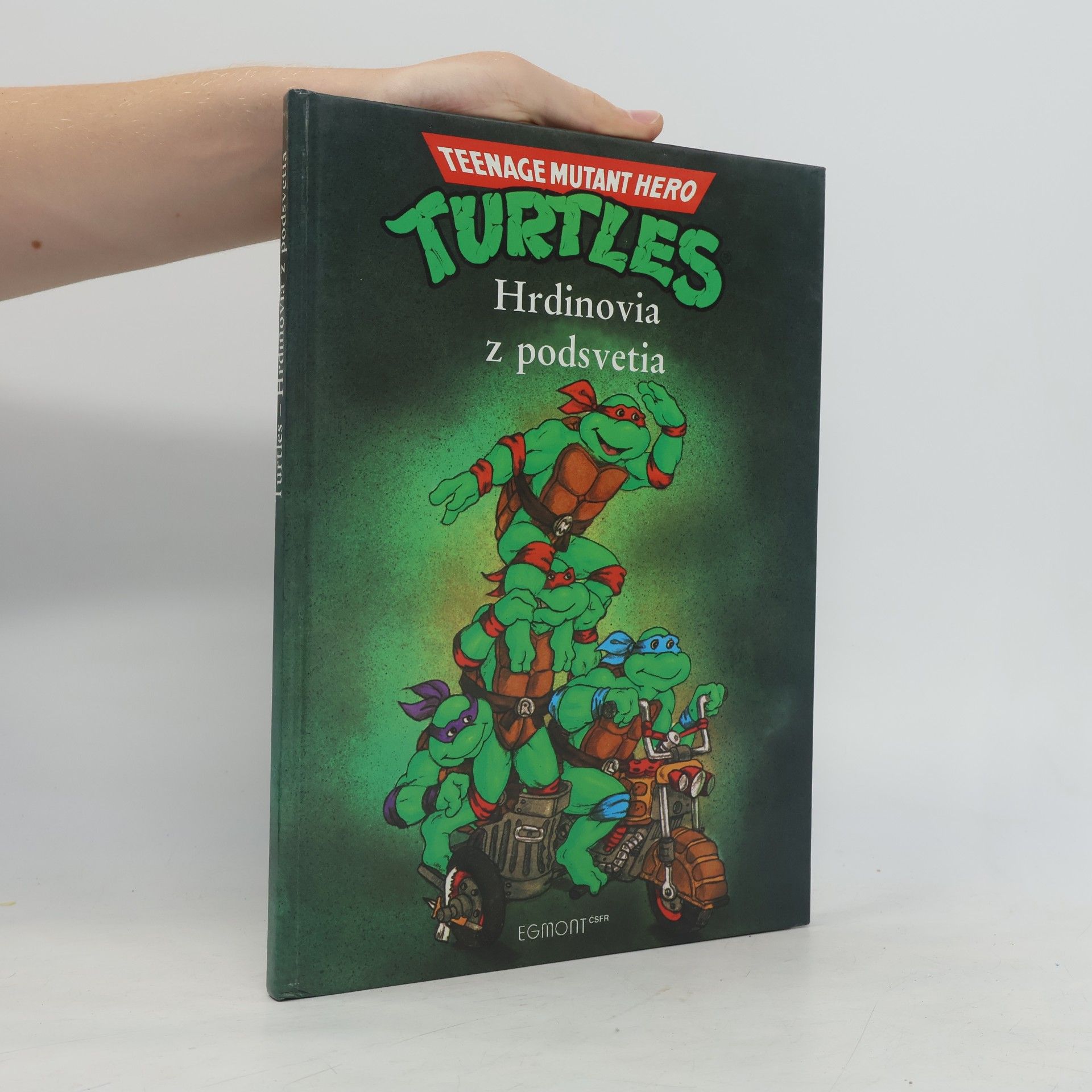 Maureen Spurgeon Turtles - Hrdinovia z podsvetia