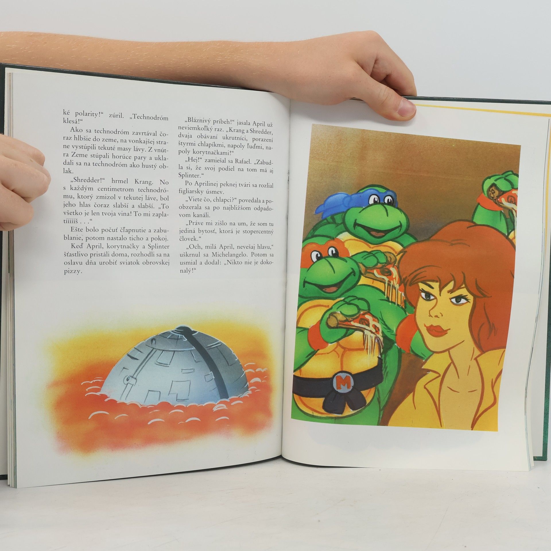 Maureen Spurgeon Turtles - Hrdinovia z podsvetia