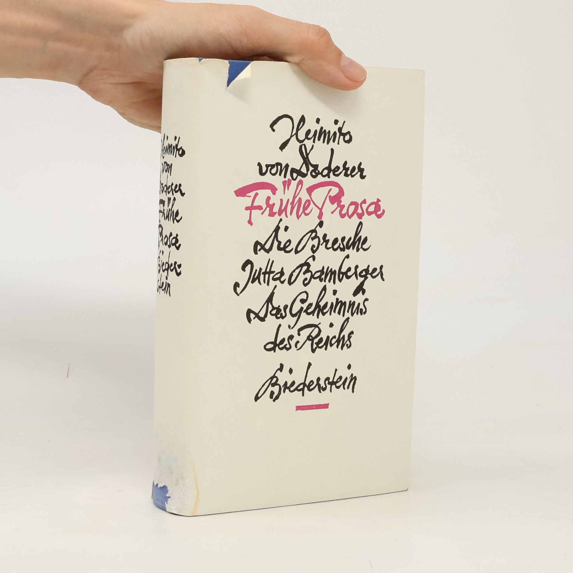 Heimito von Doderer Frühe Prosa