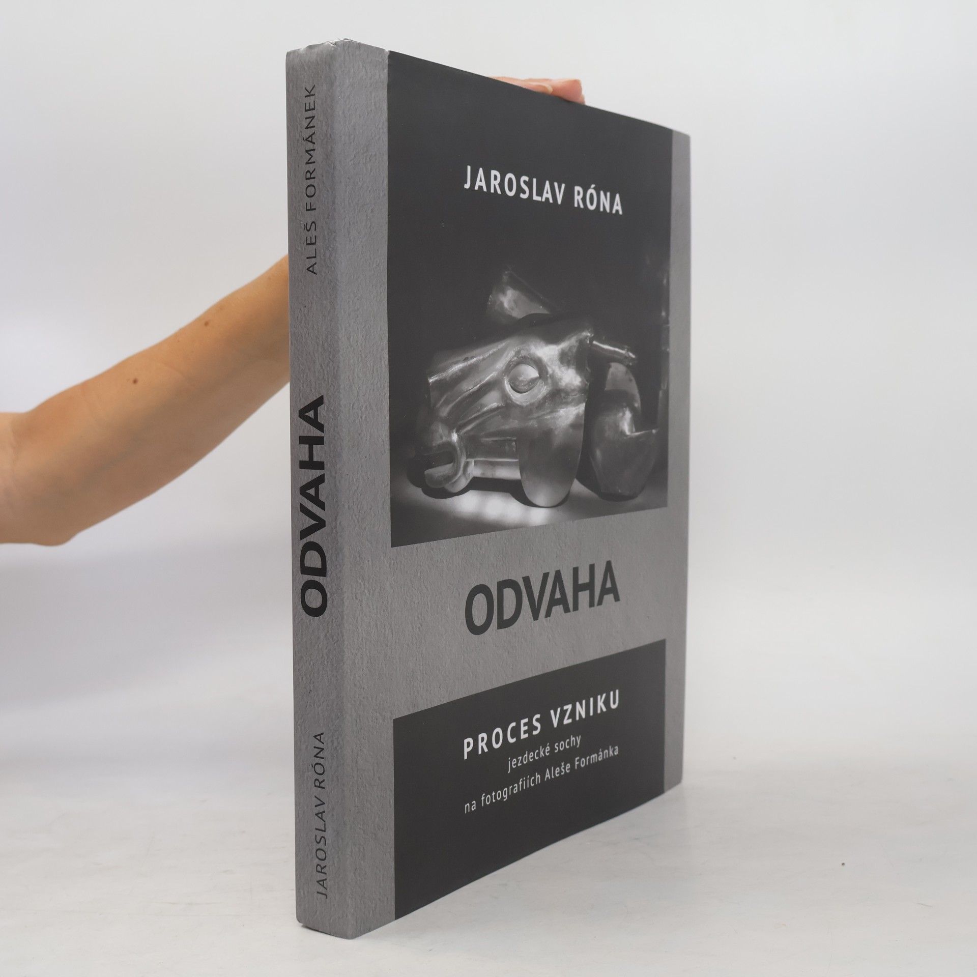 Jaroslav Róna Odvaha