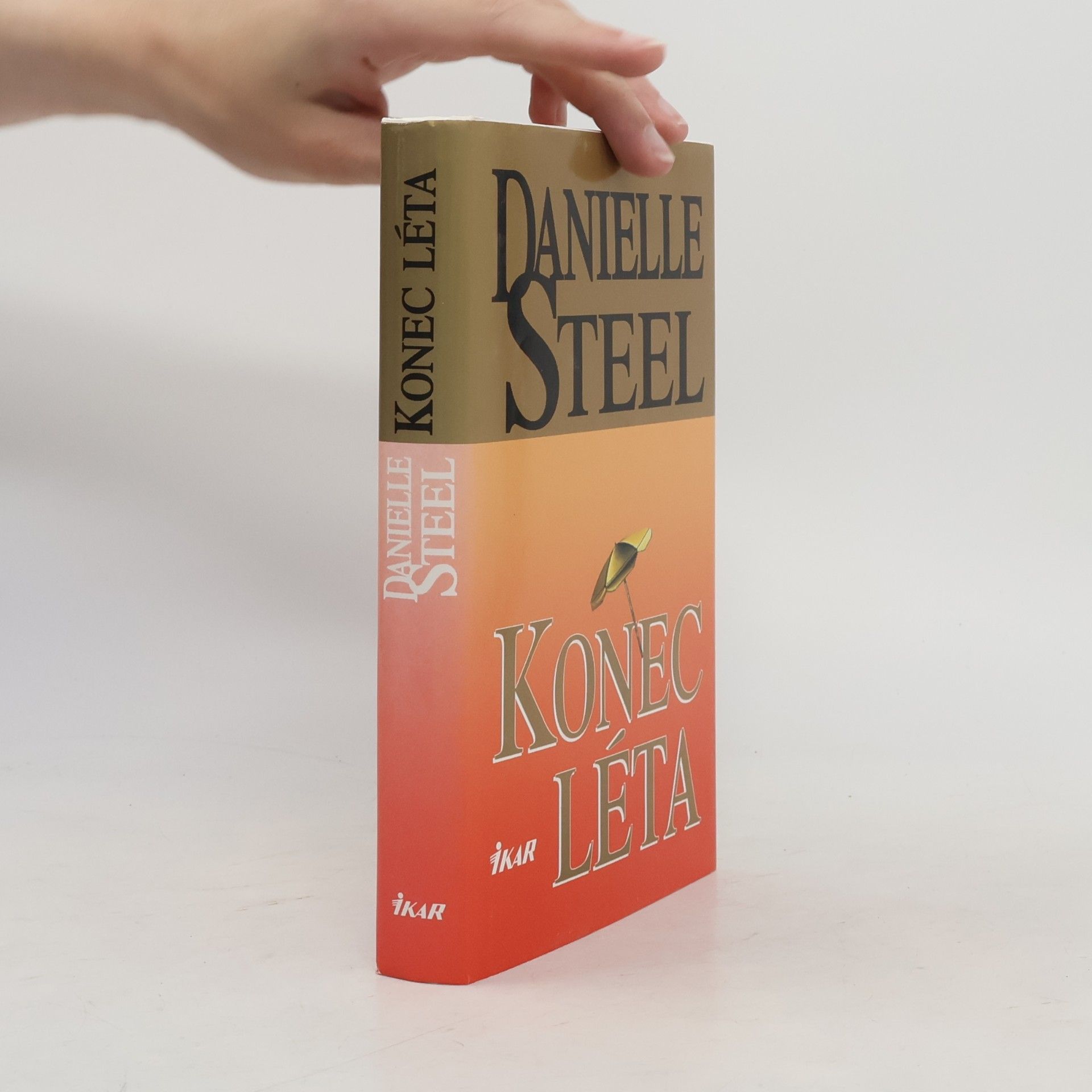 Danielle Steel Konec léta