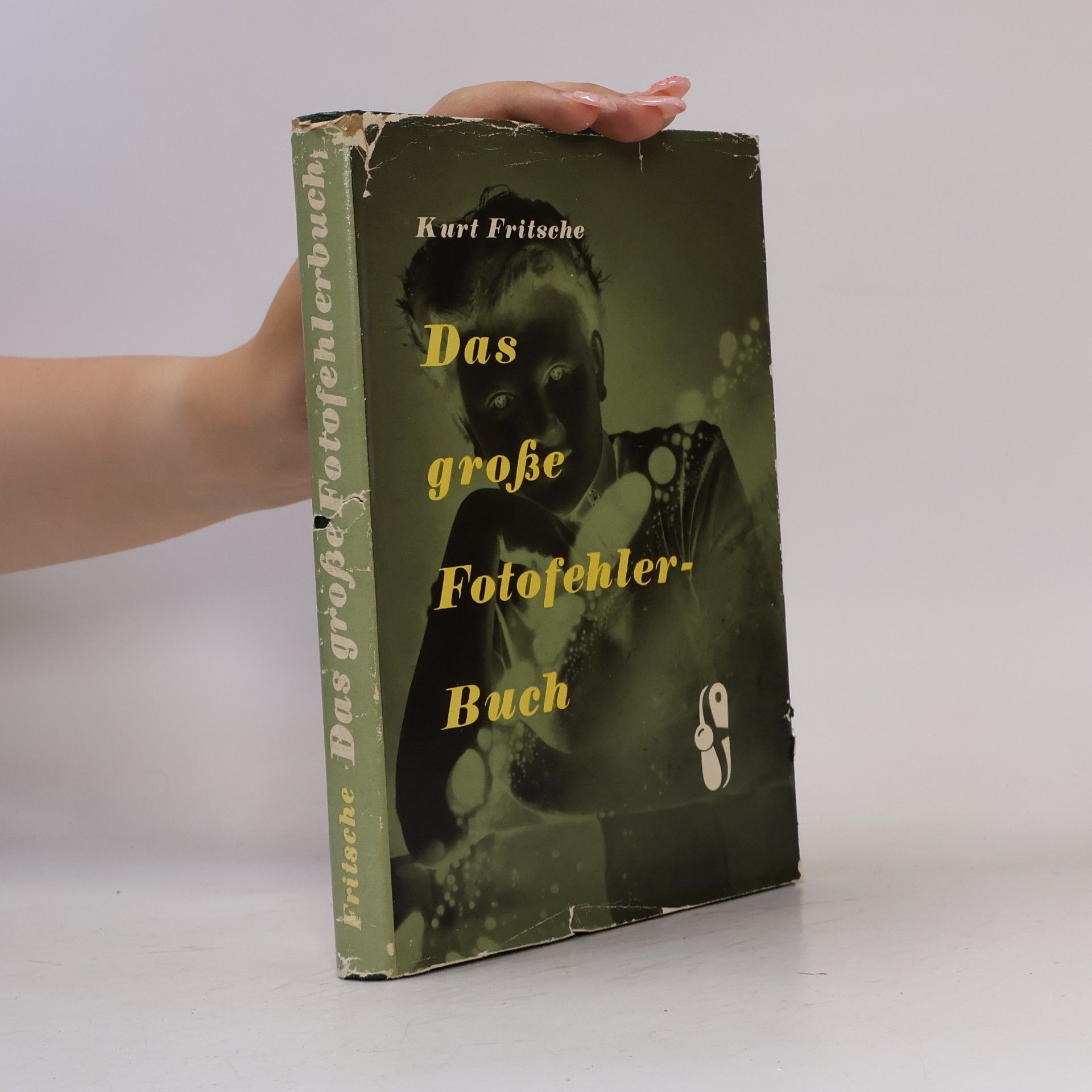 Kurt Fritsche Das große Fotofehler-Buch