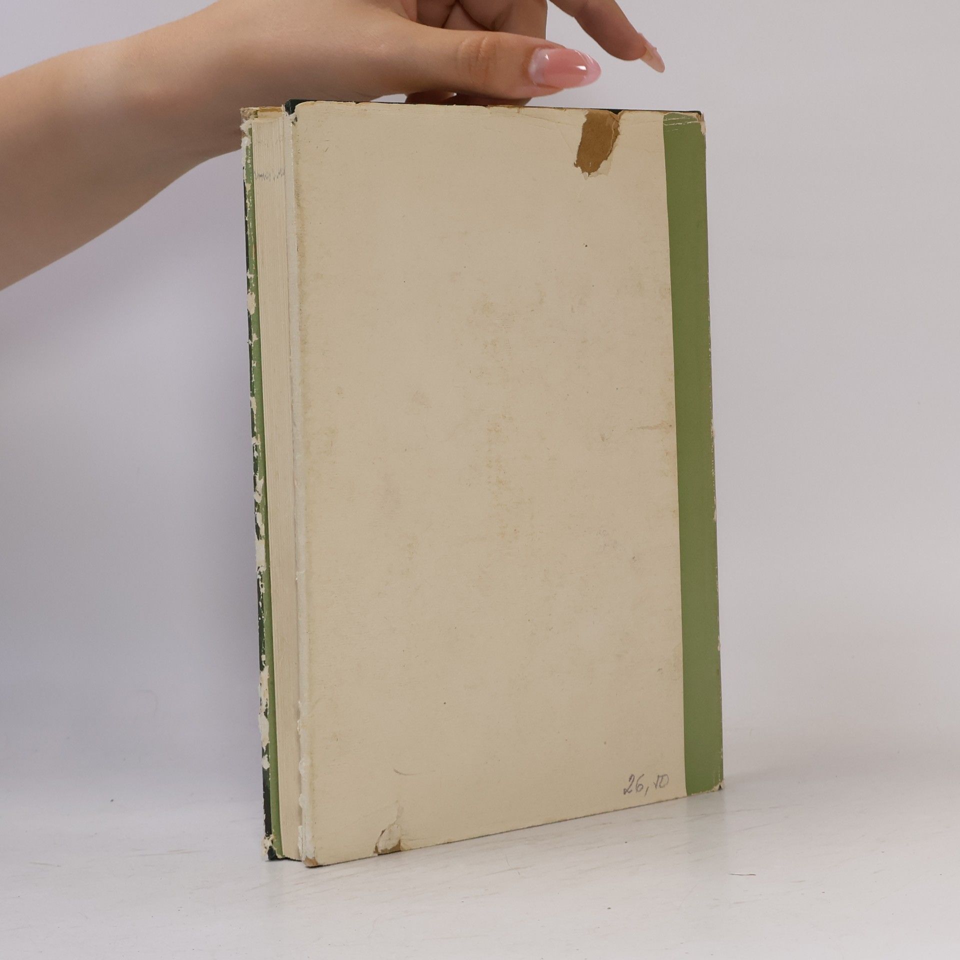 Kurt Fritsche Das große Fotofehler-Buch