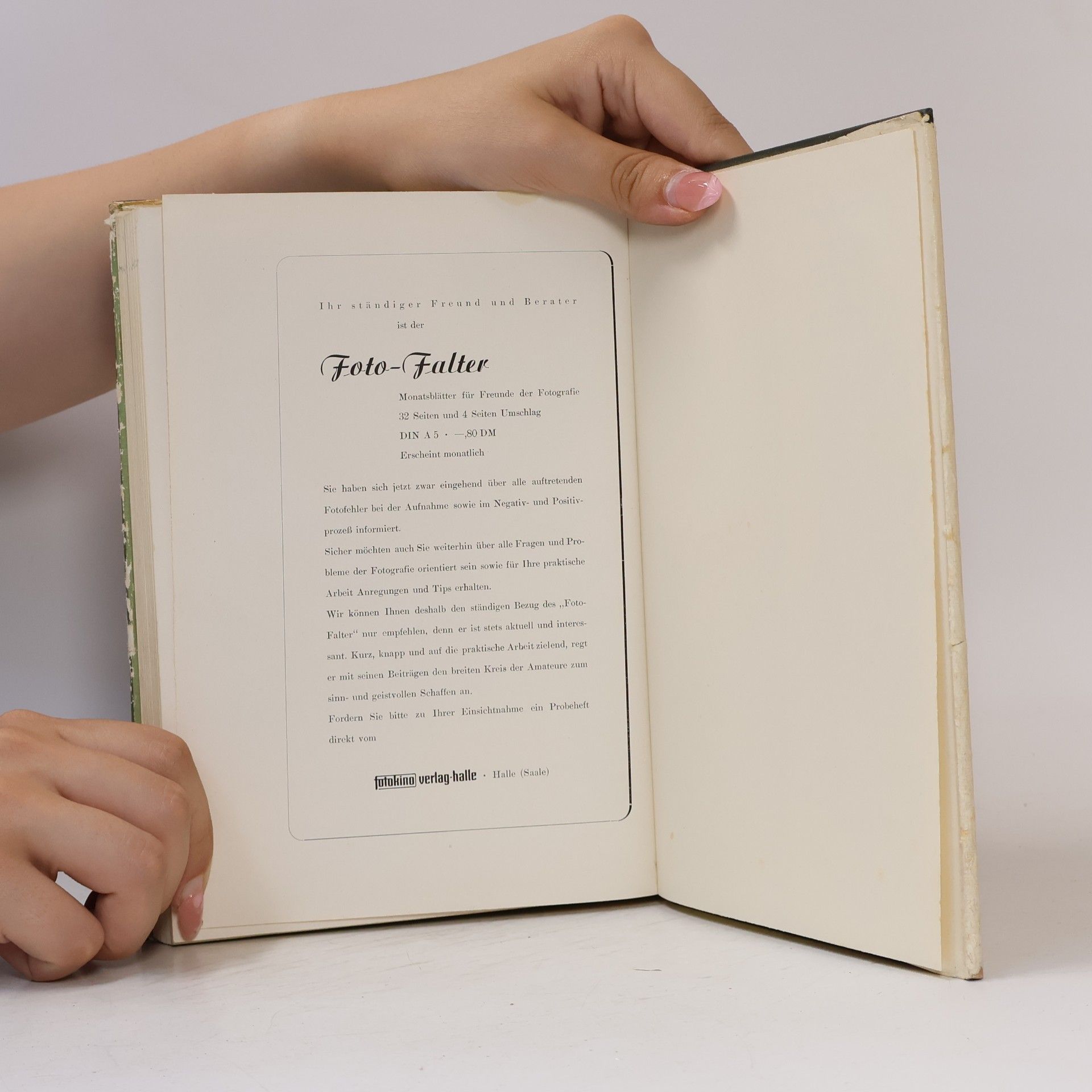 Kurt Fritsche Das große Fotofehler-Buch