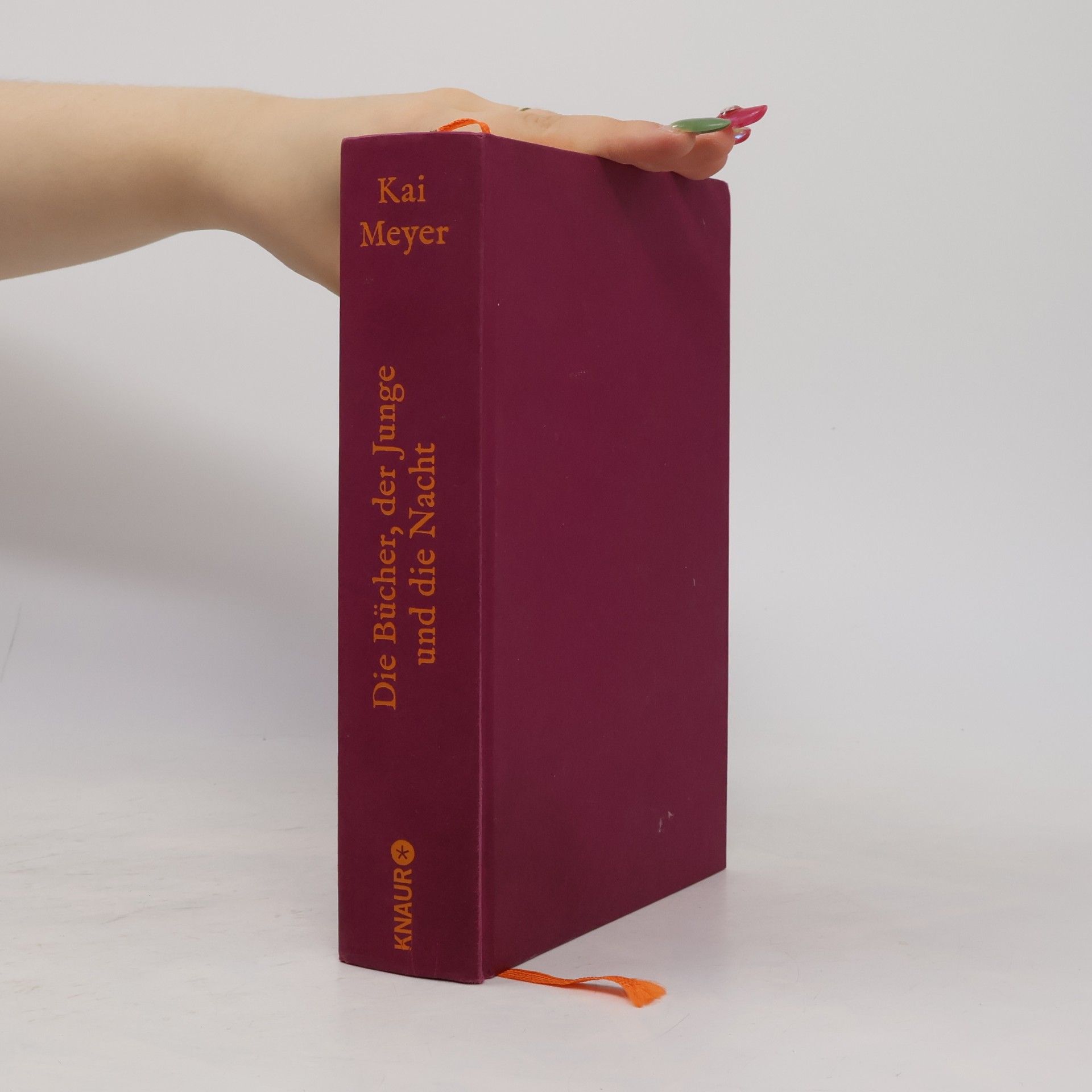 Kai Meyer Die Bücher, der Junge und die Nacht
