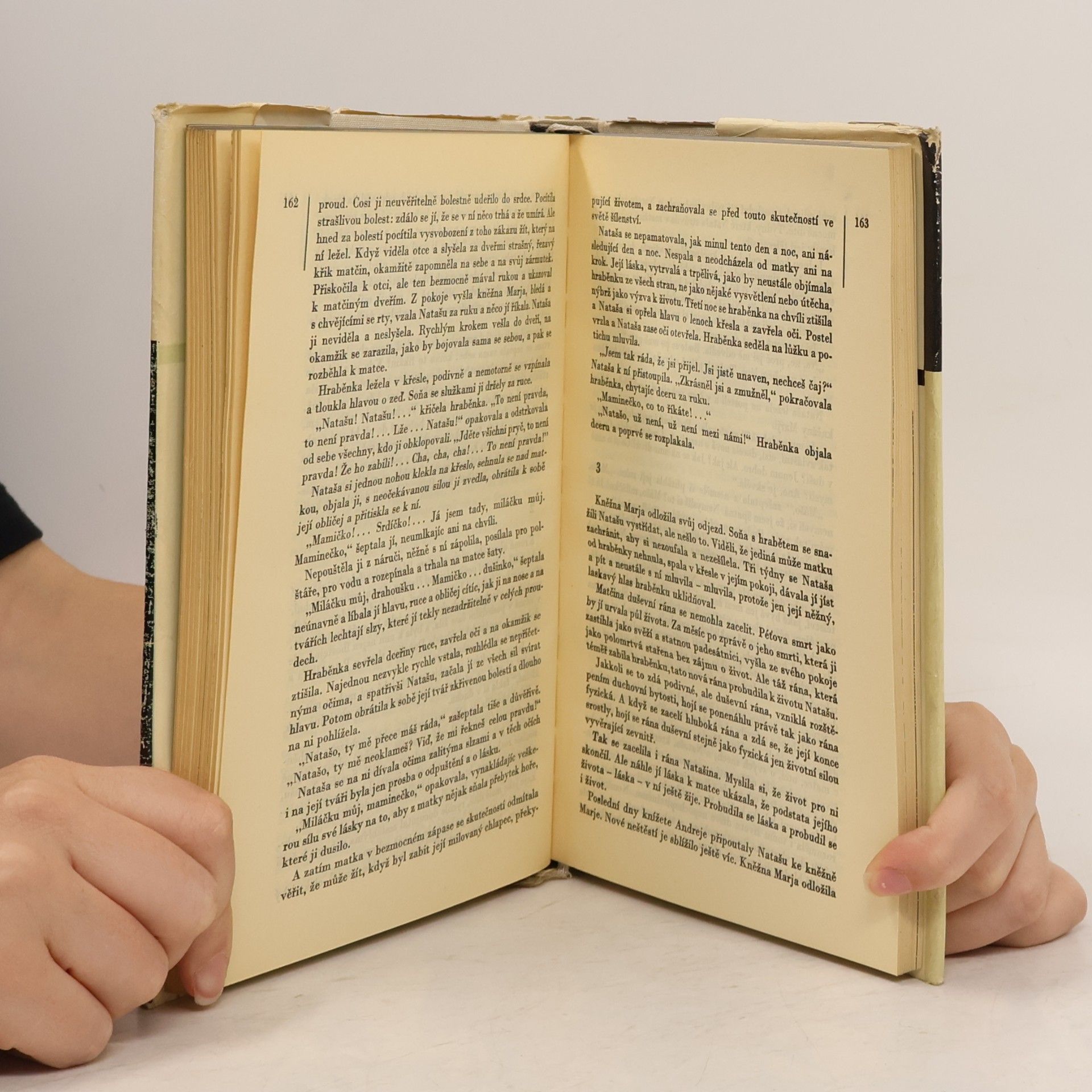 Léon Tolstoï Vojna a mír IV