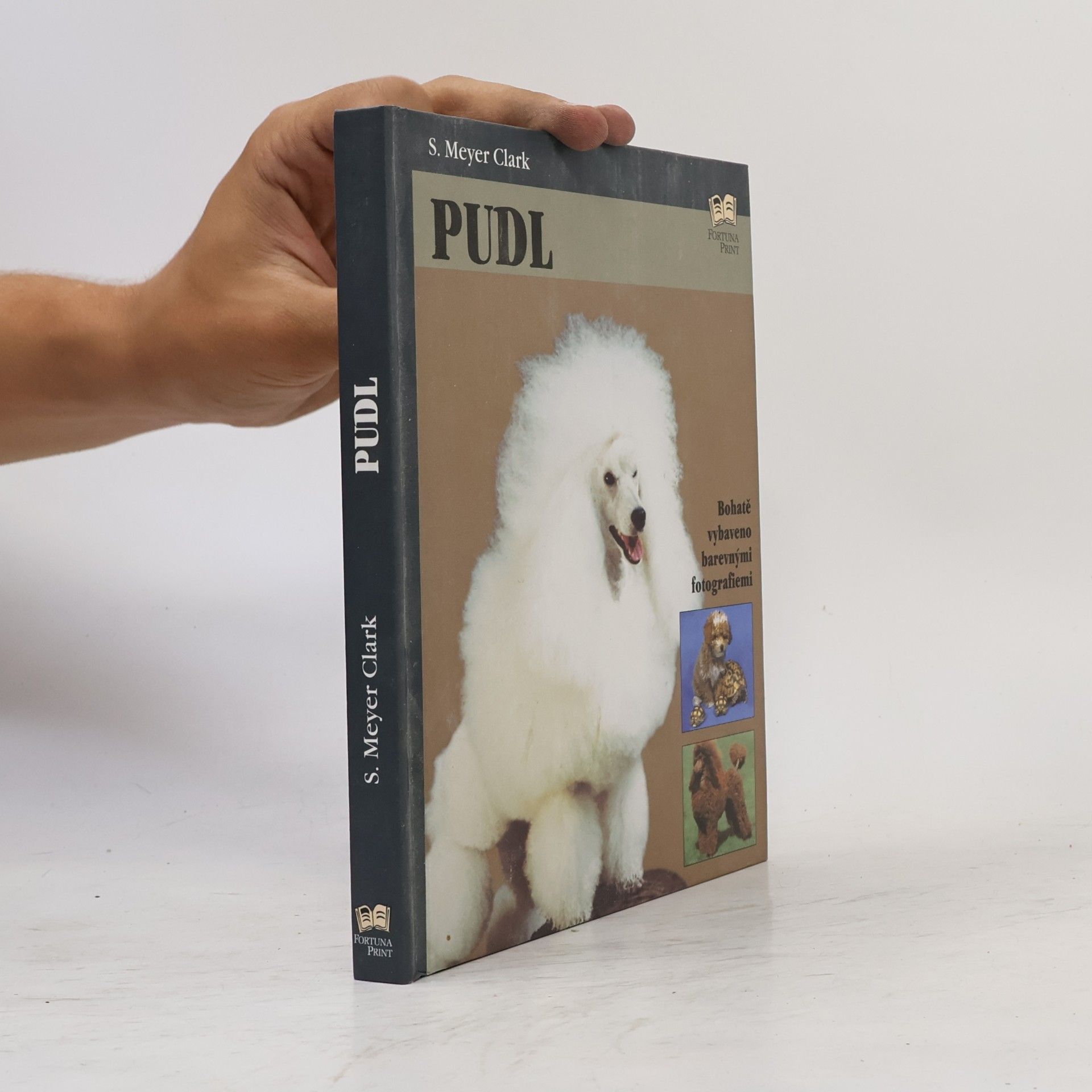 S. Mayer Clark Pudl