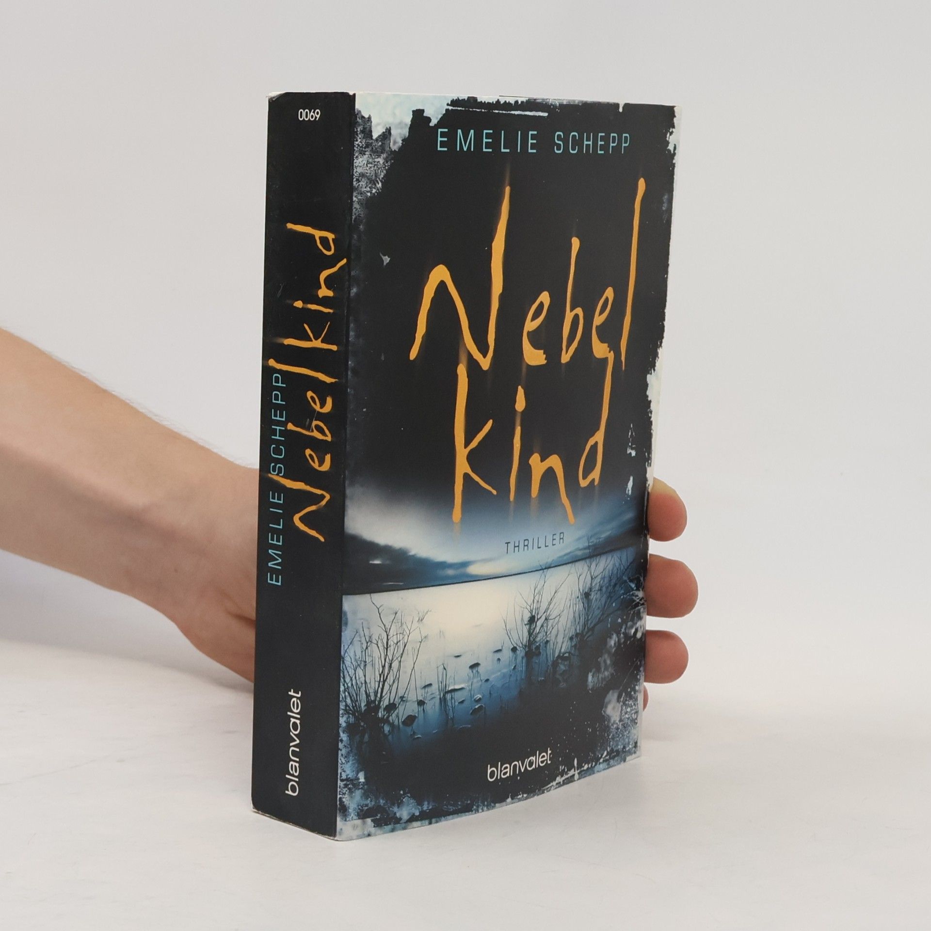 Emelie Schepp Nebelkind