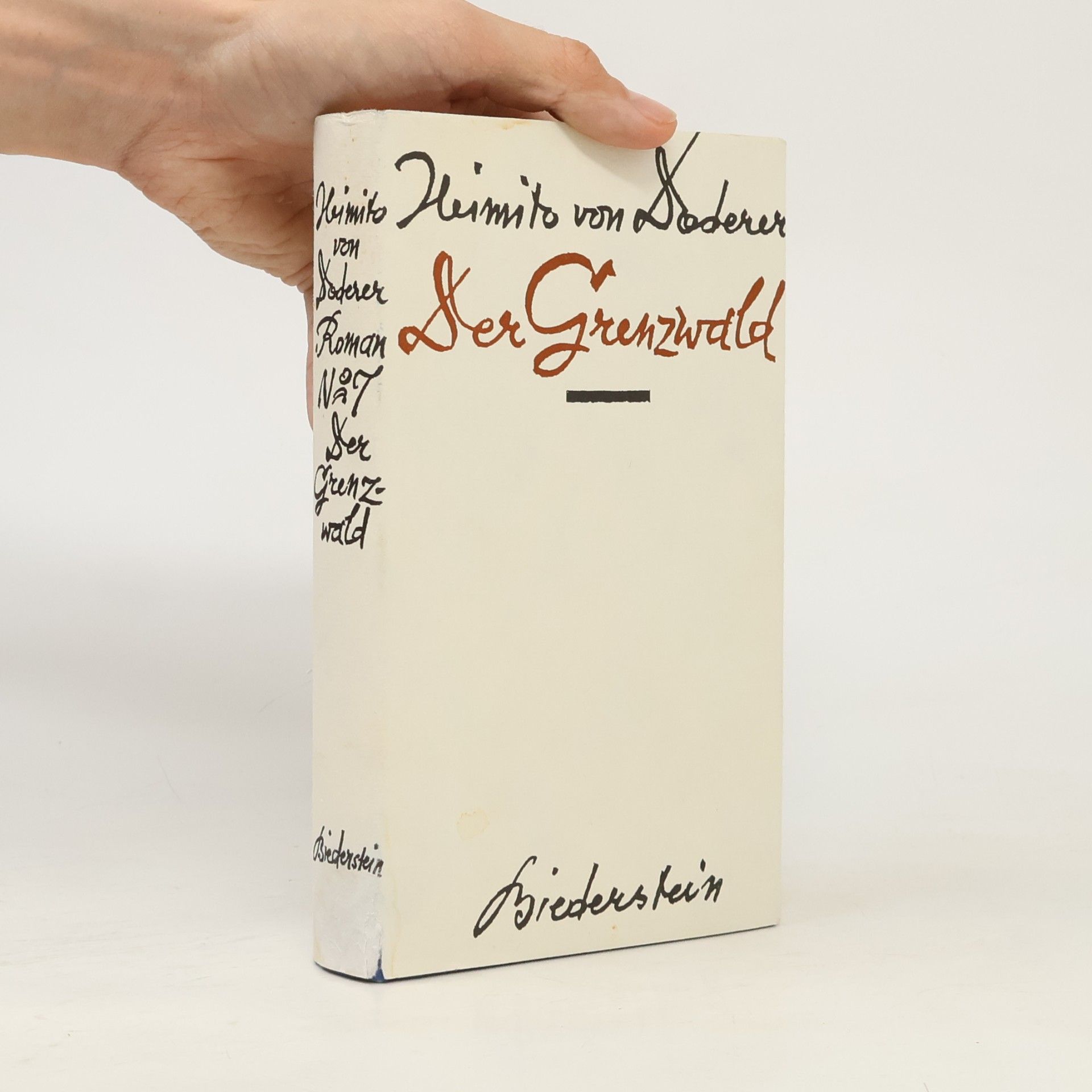 Heimito von Doderer Der Grenzwald