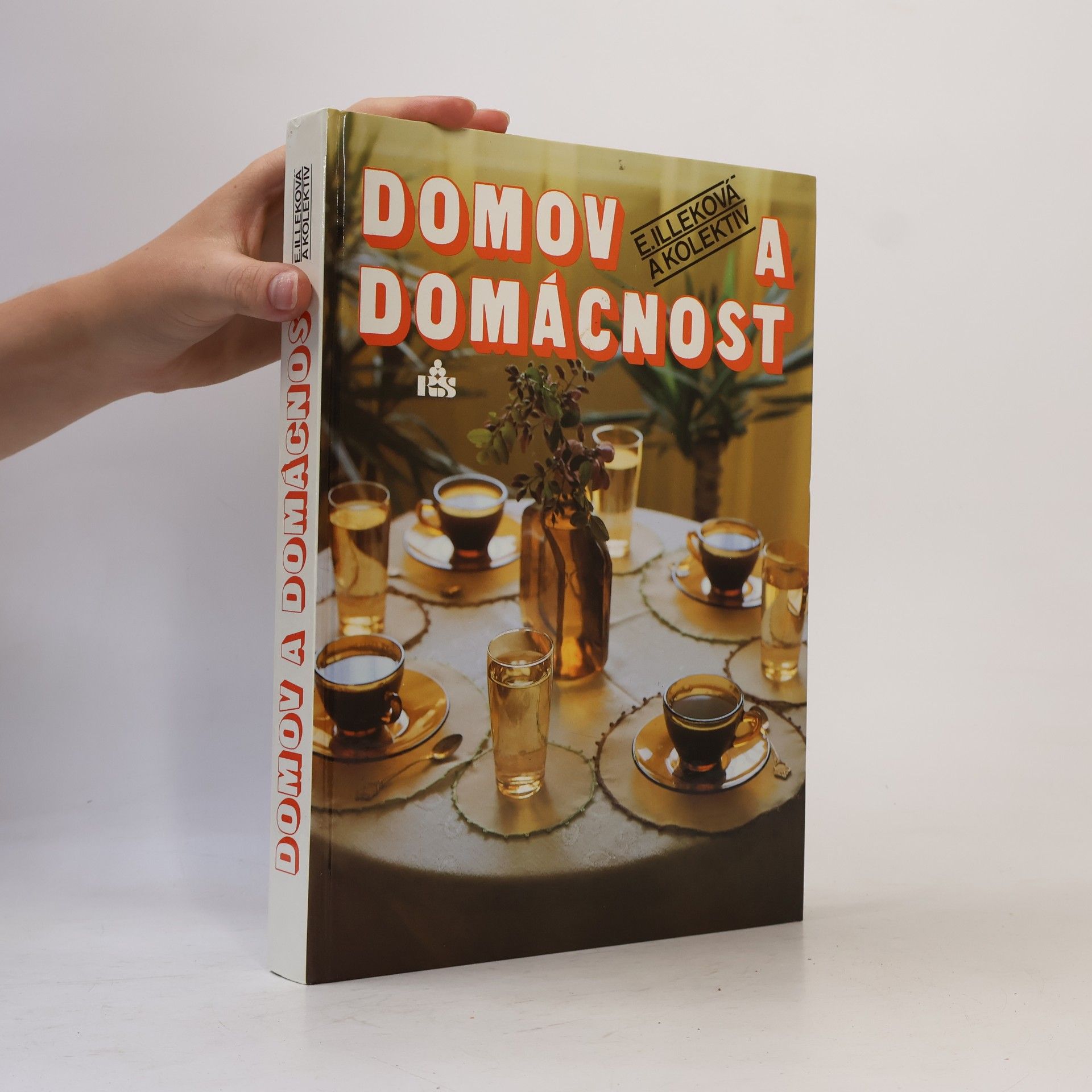 Emília Illeková Domov a domácnost