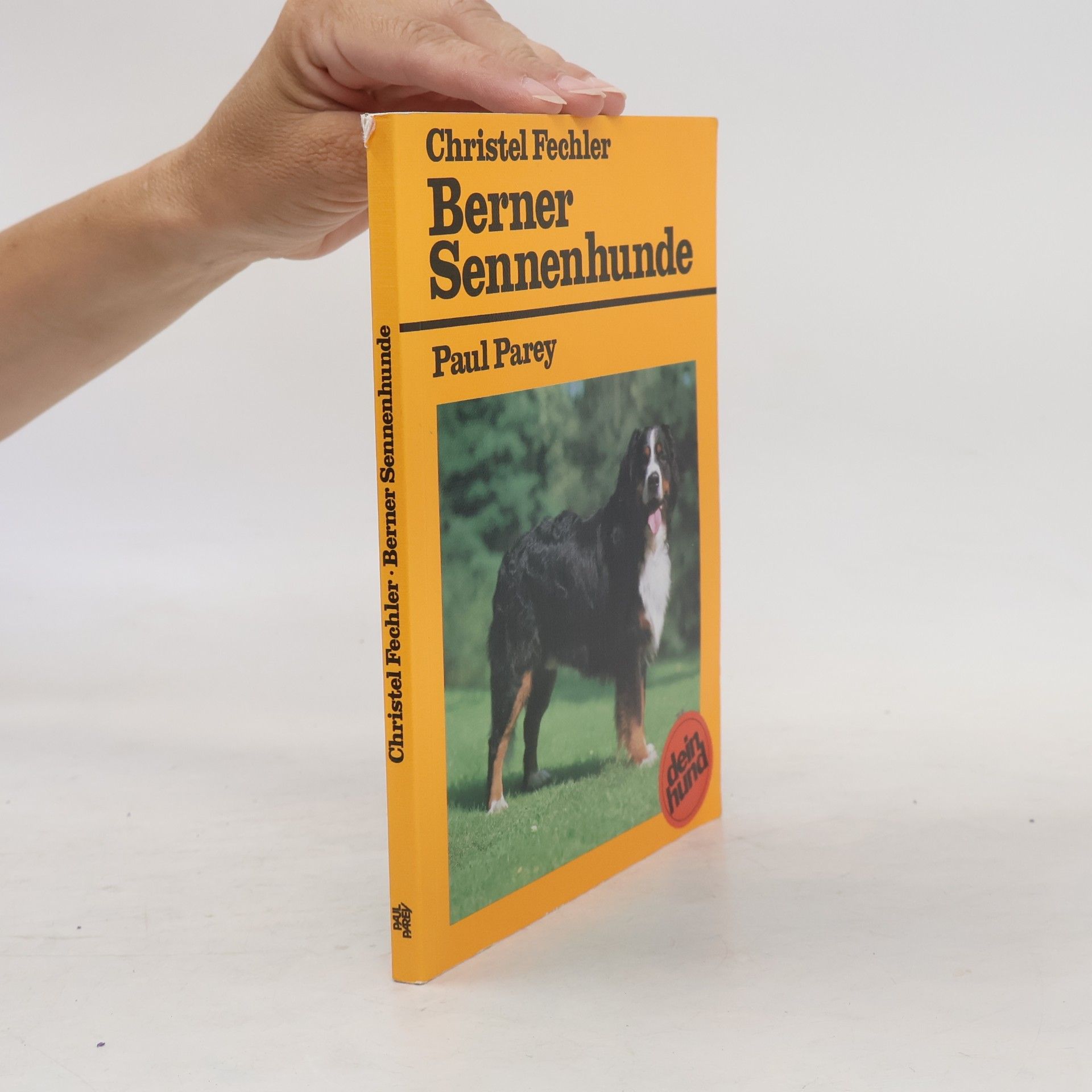 Christel Fechler Berner Sennenhunde