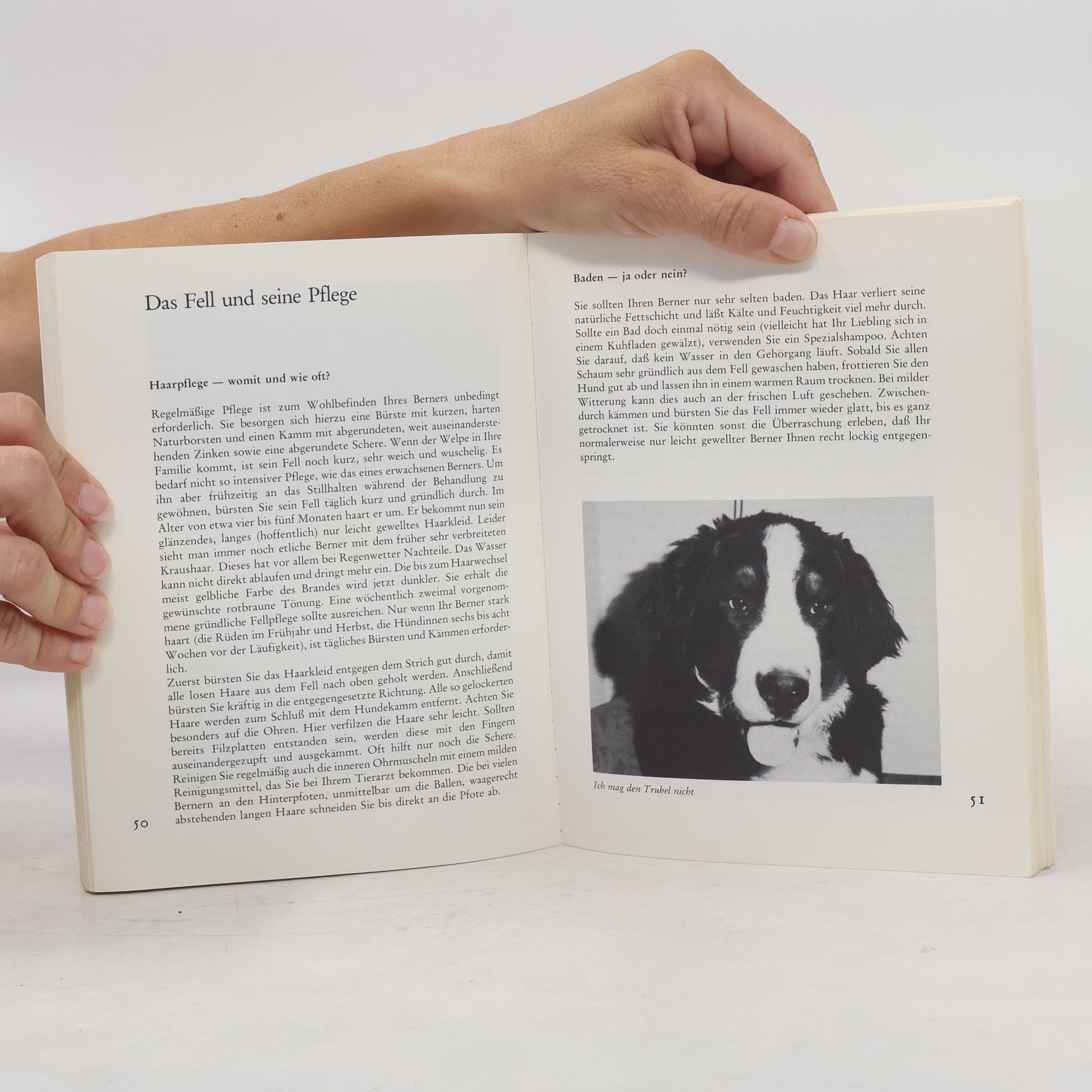 Christel Fechler Berner Sennenhunde