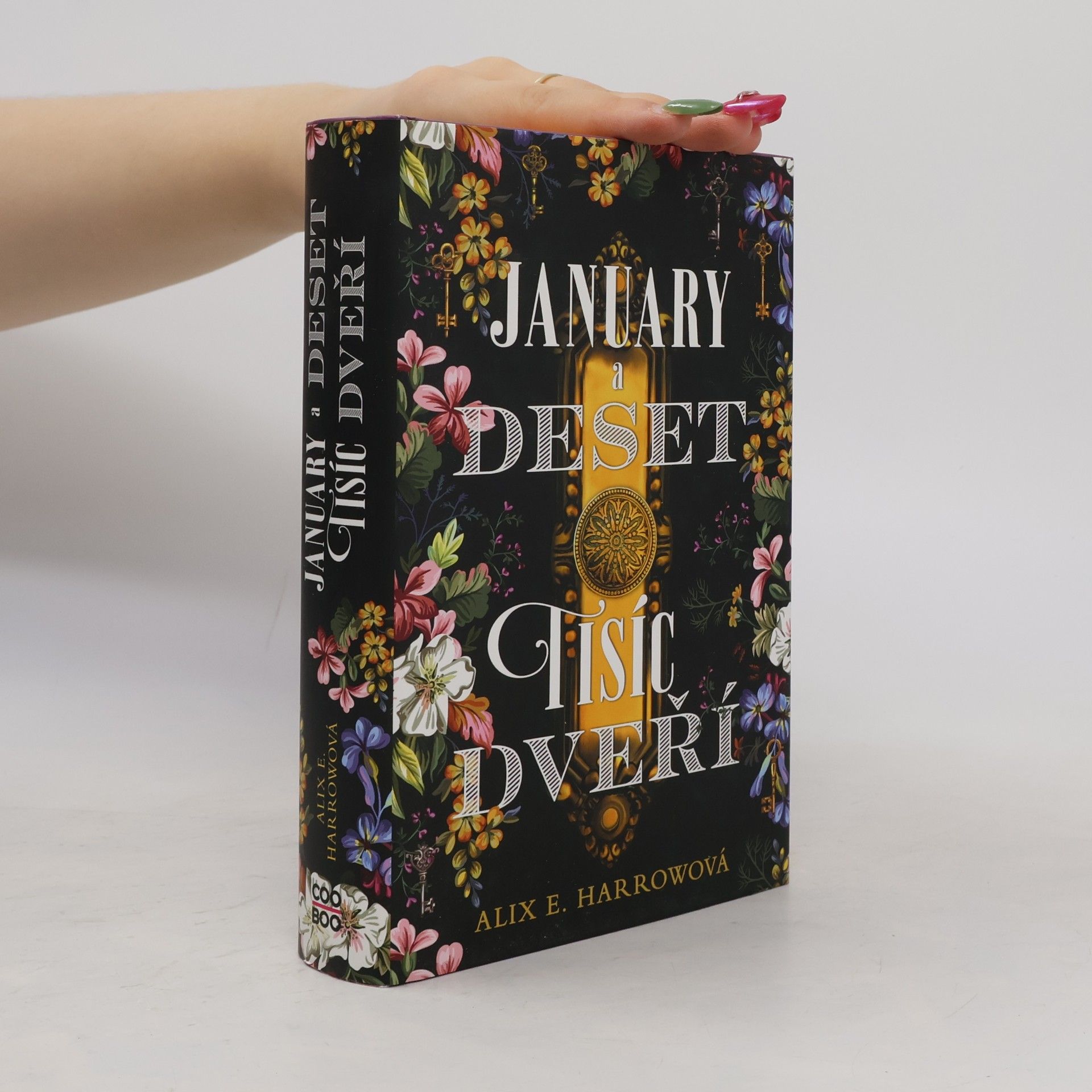 Alix E. Harrow January a Deset tisíc dveří