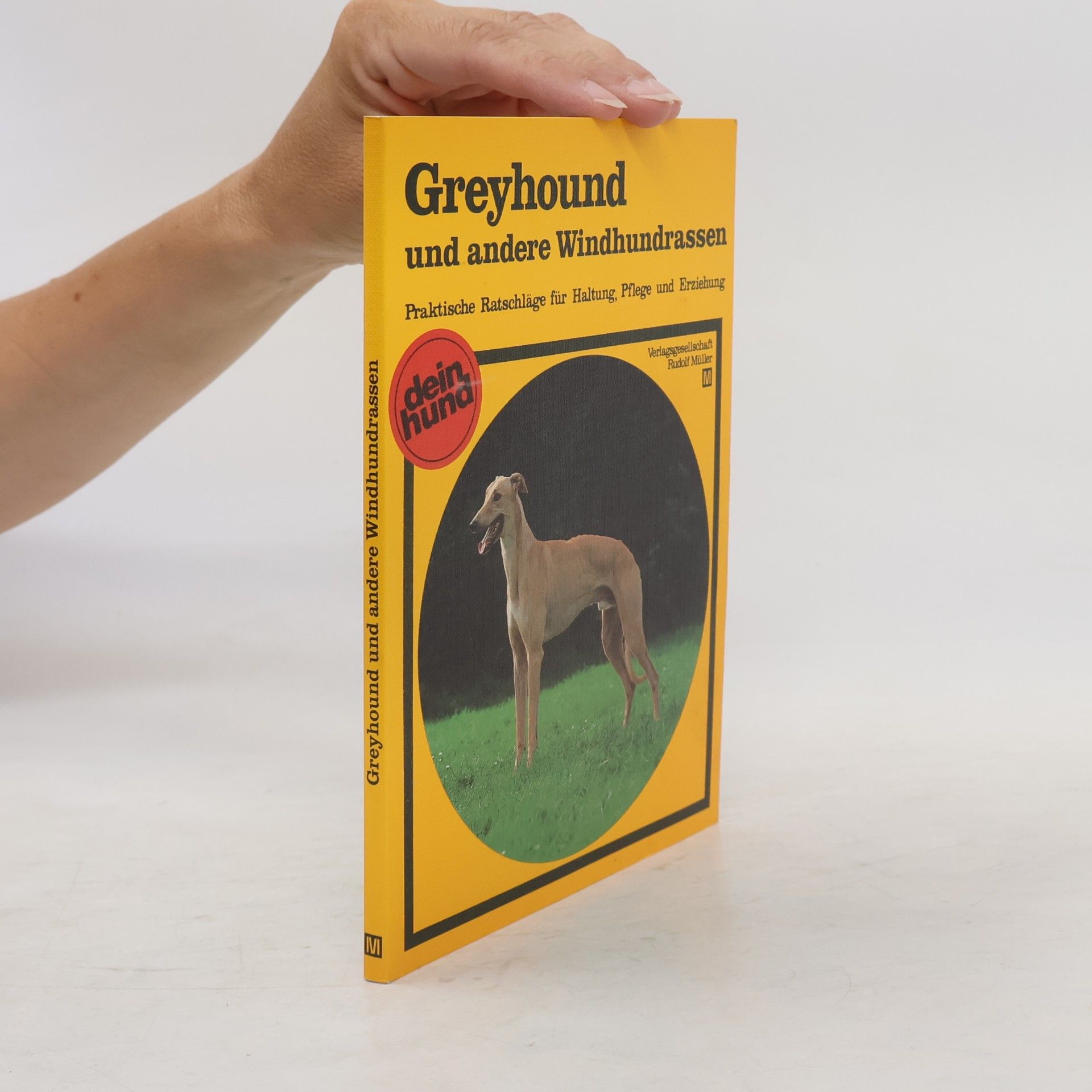 Ilse Schultze Greyhound und andere Windhundrassen