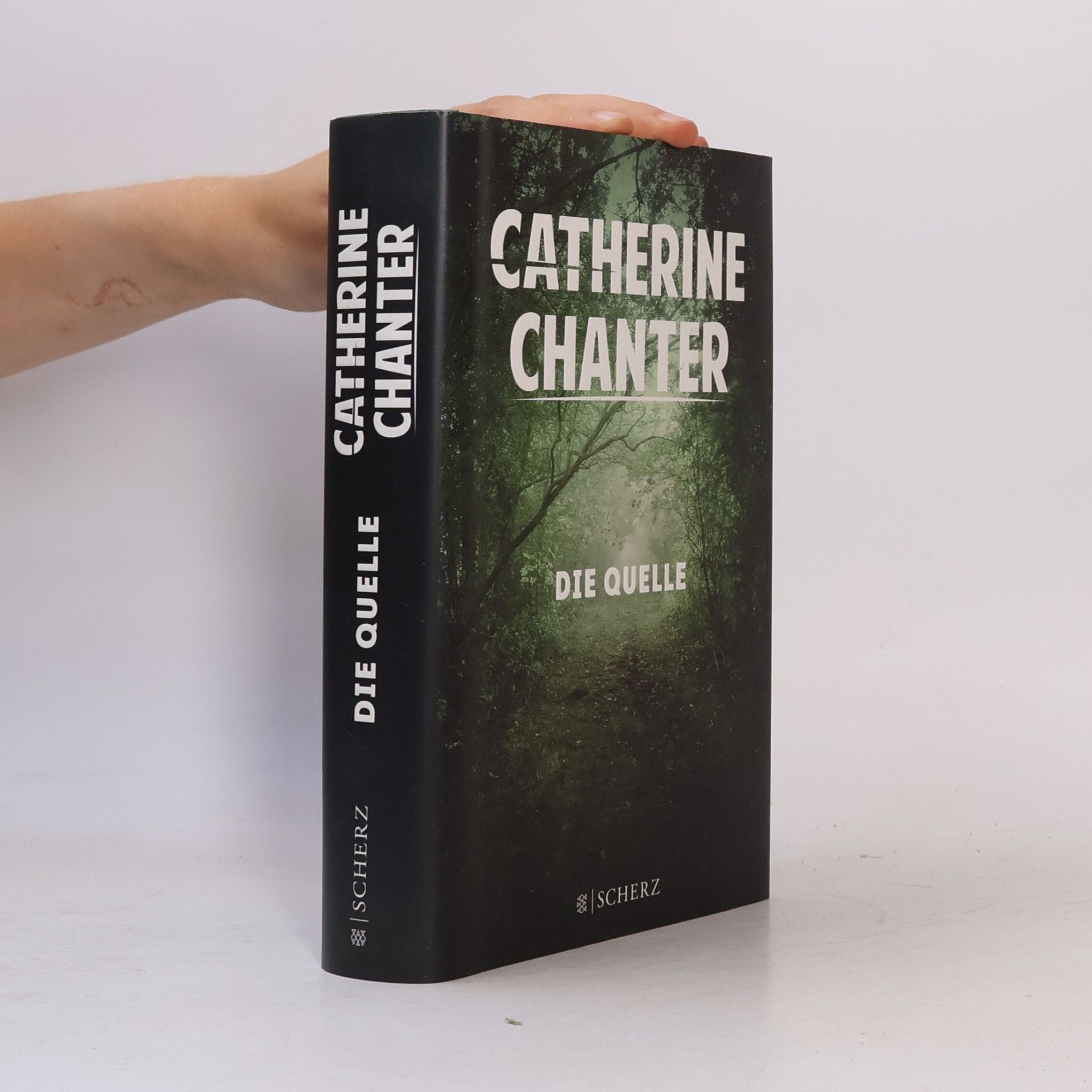 Catherine Chanter Die Quelle