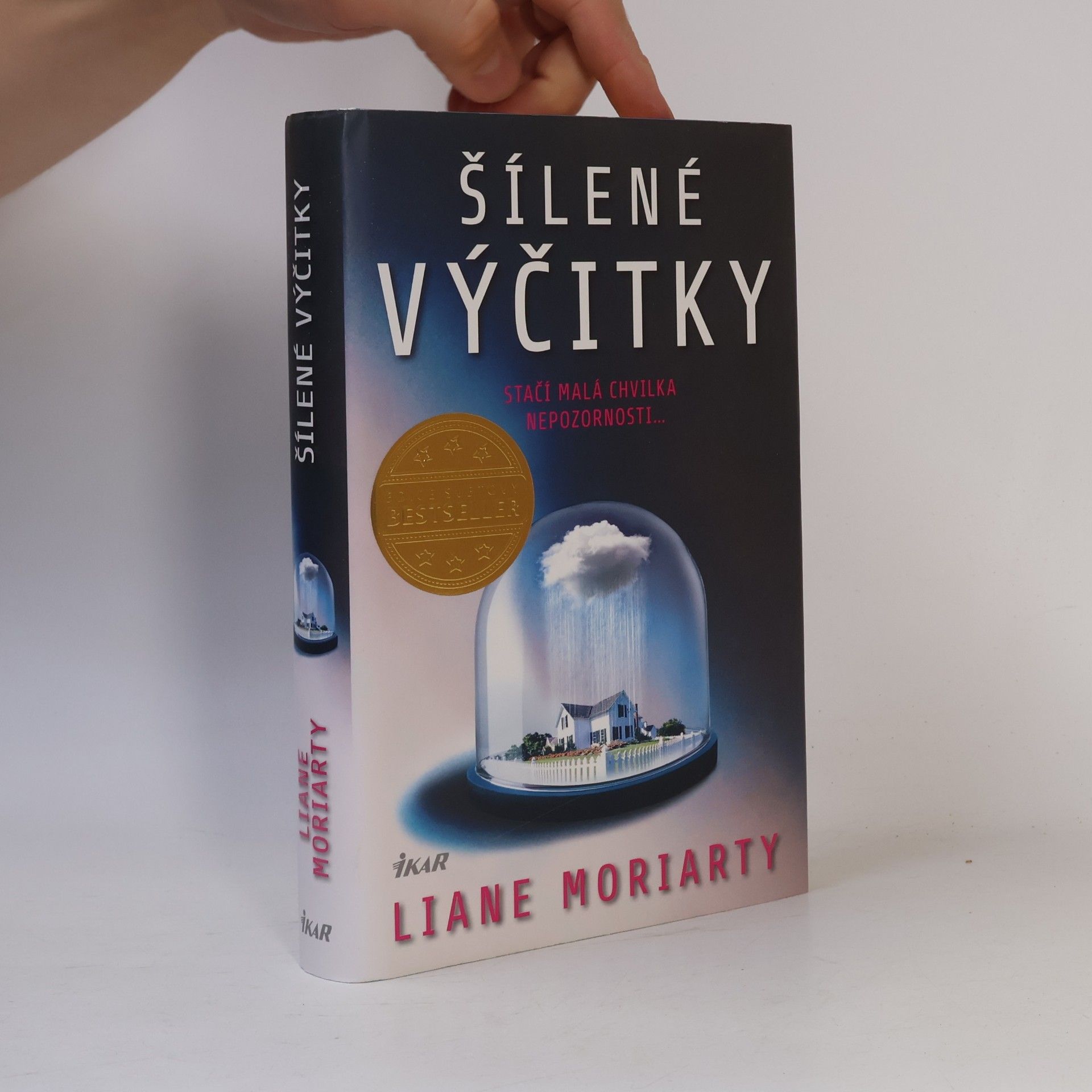 Liane Moriarty Šílené výčitky