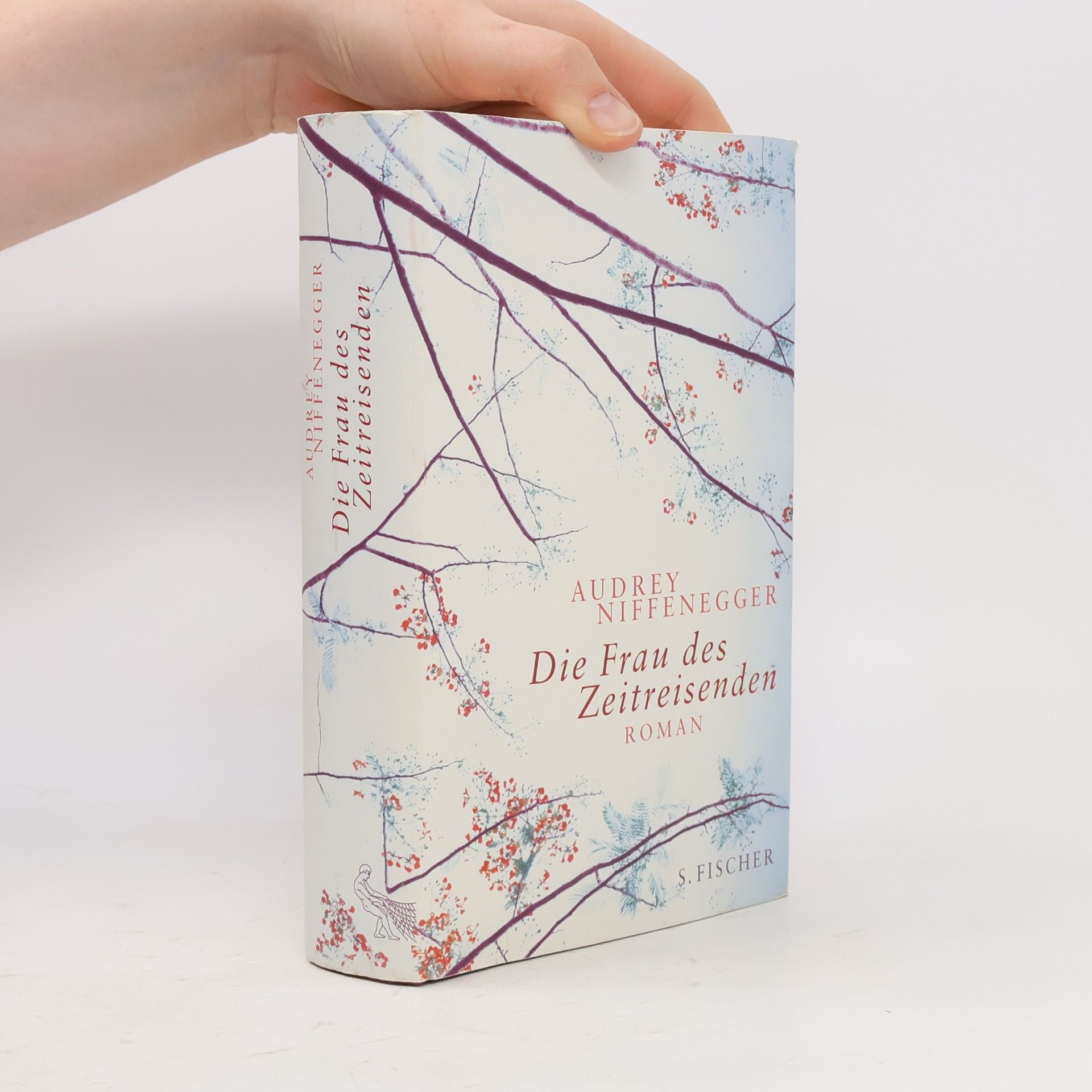 Audrey Niffenegger Die Frau des Zeitreisenden
