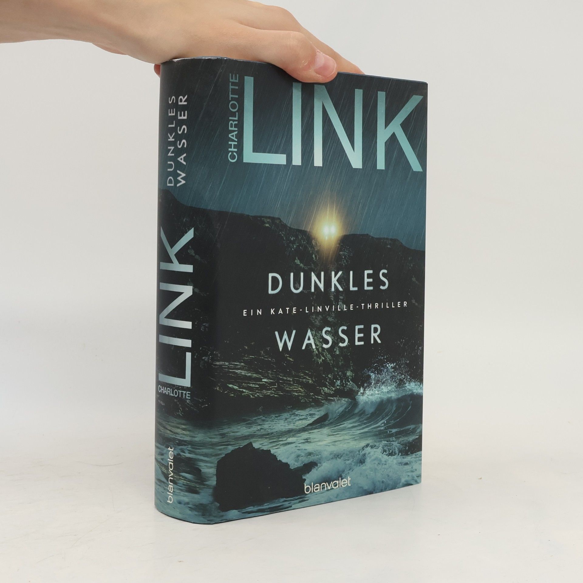 Charlotte Link Dunkles Wasser