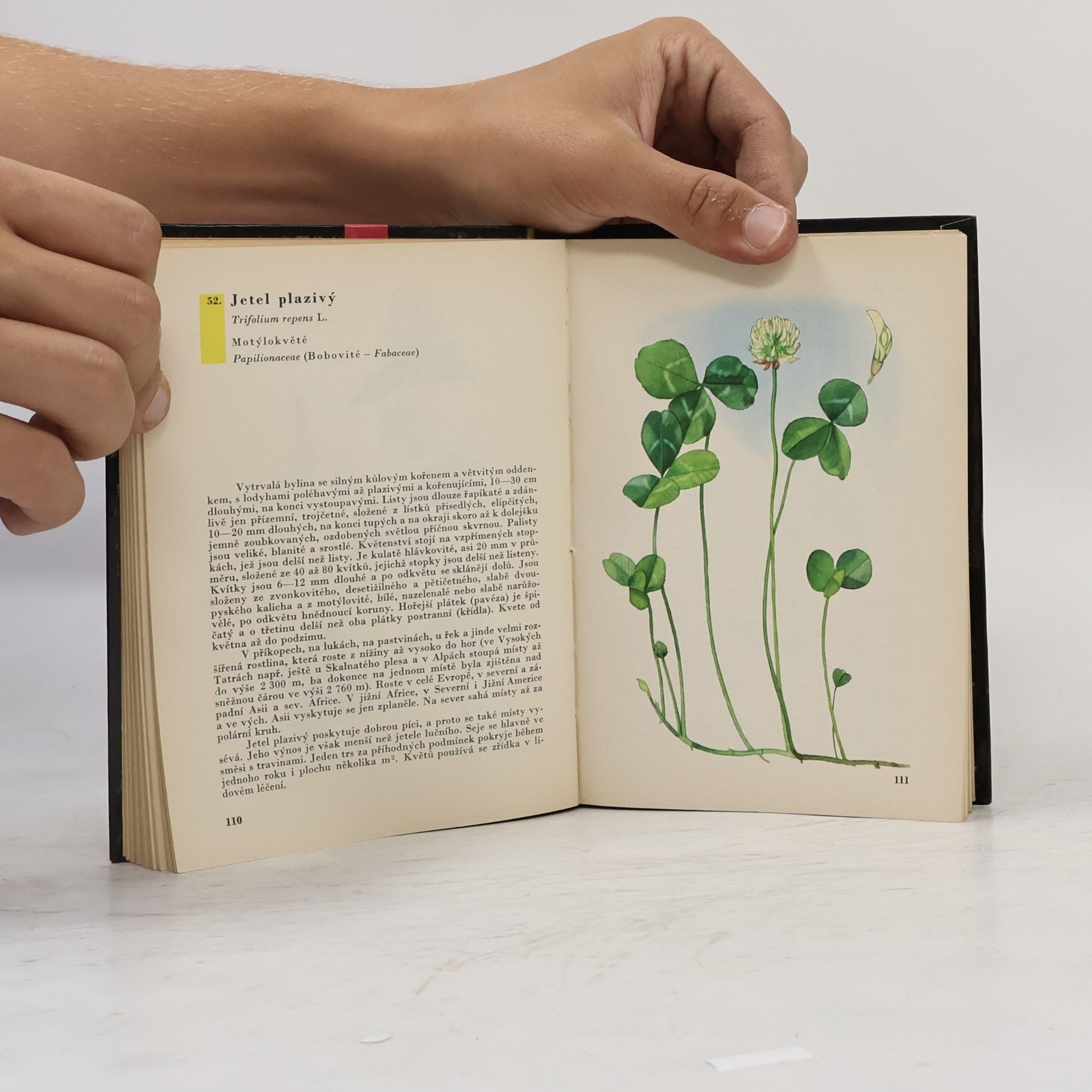 Albert Pilát Kapesní atlas rostlin