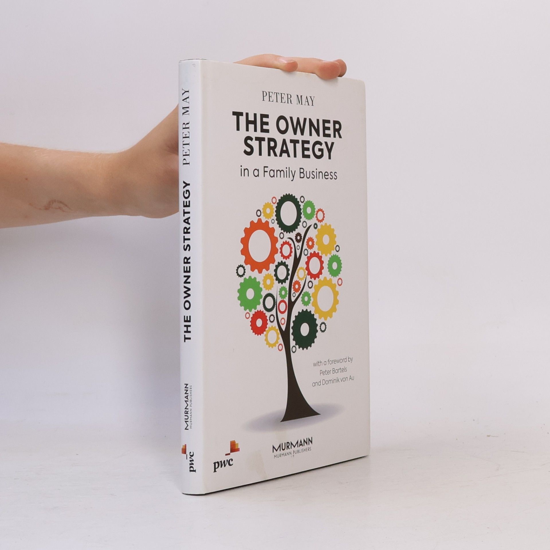The Owner Strategy For Family Businesses: English Edition