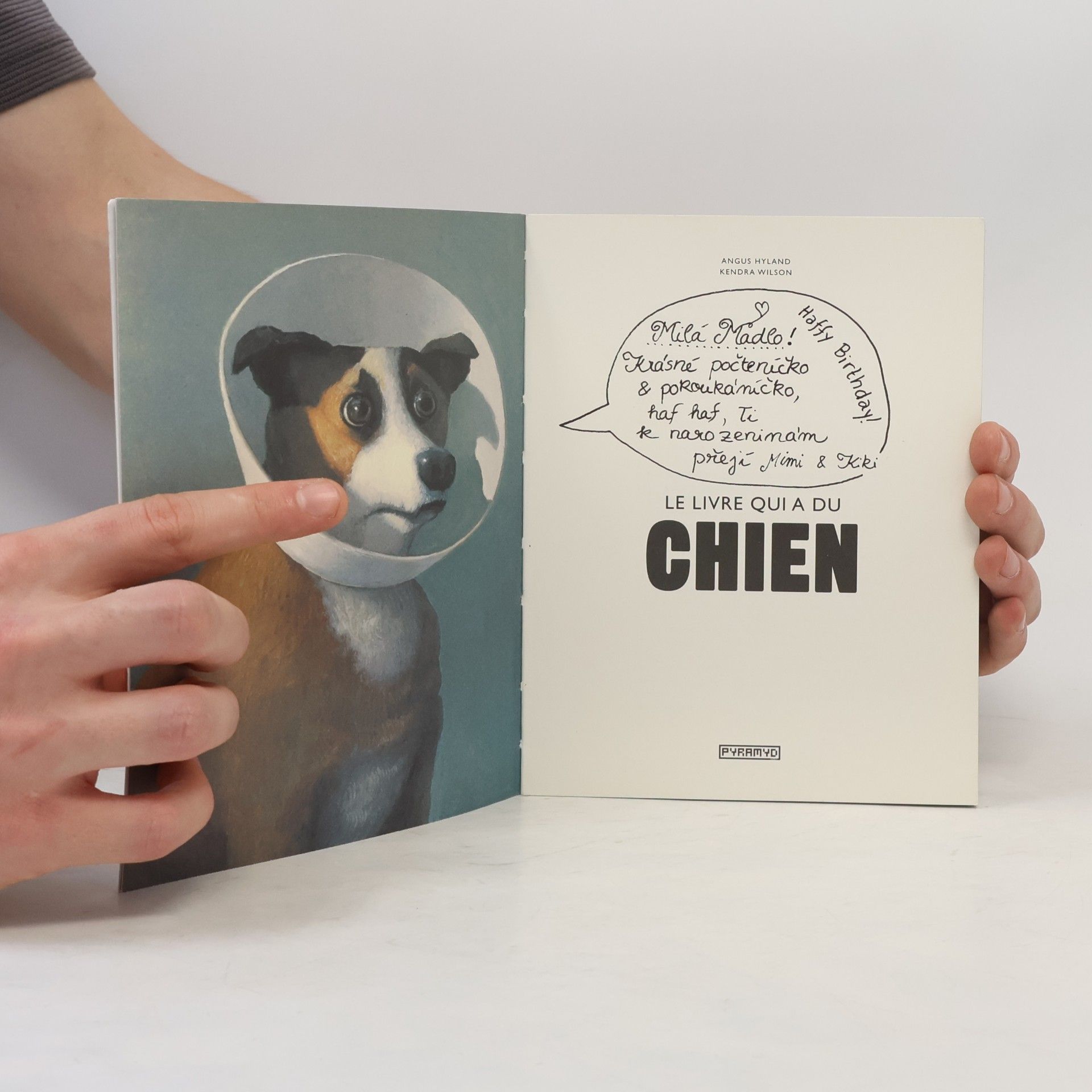 Angus Hyland Hunde in der Kunst