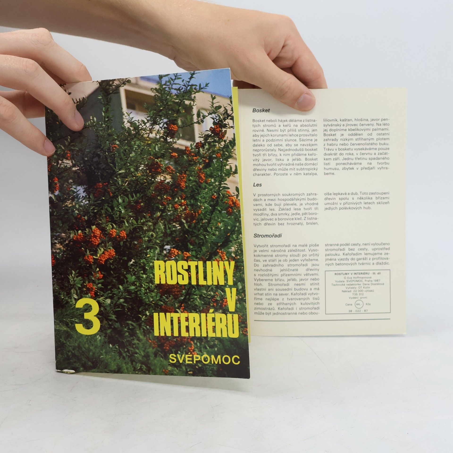 Eva Hoffmannová Rostliny v interiéru 3