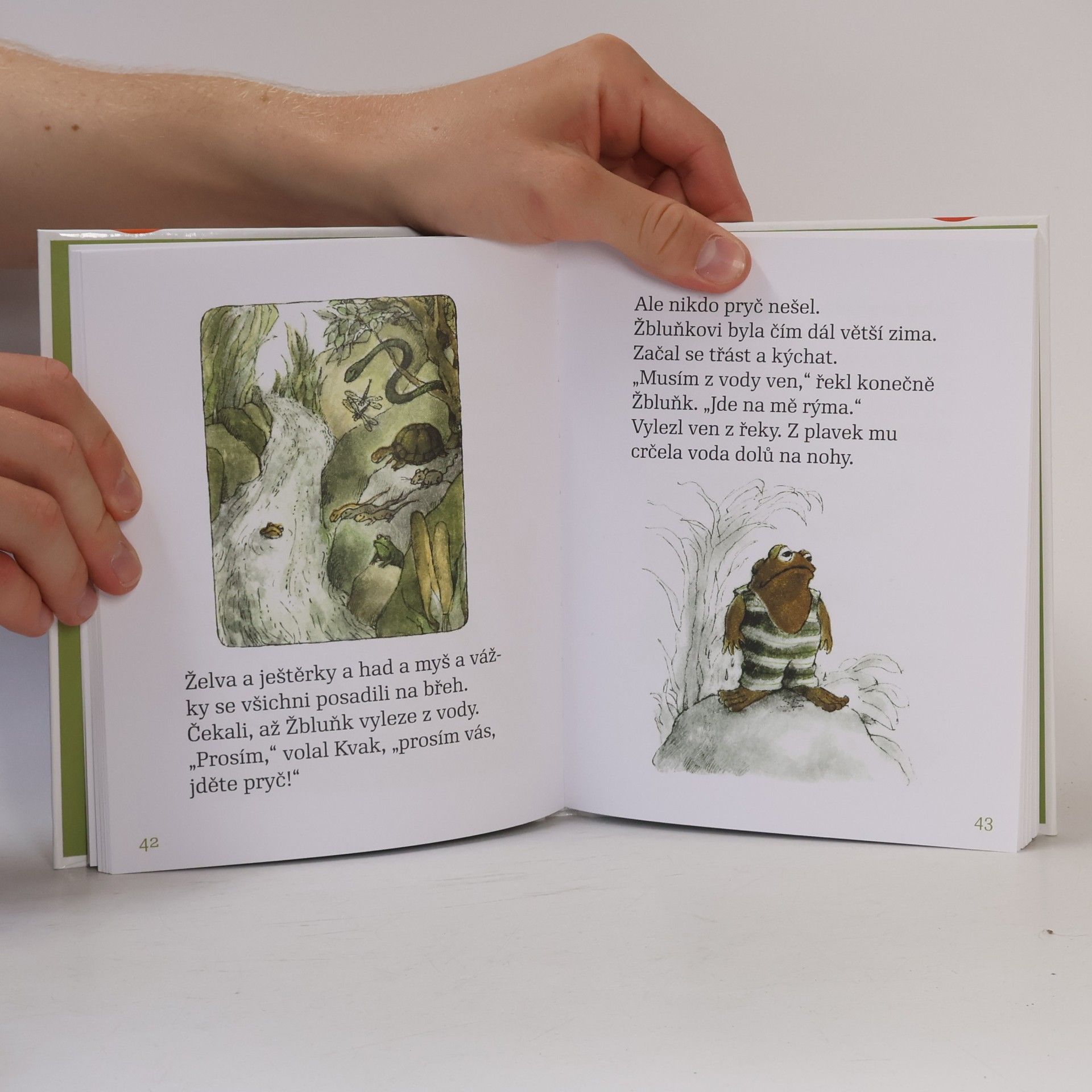 Arnold Lobel Kvak a Žbluňk jsou kamarádi