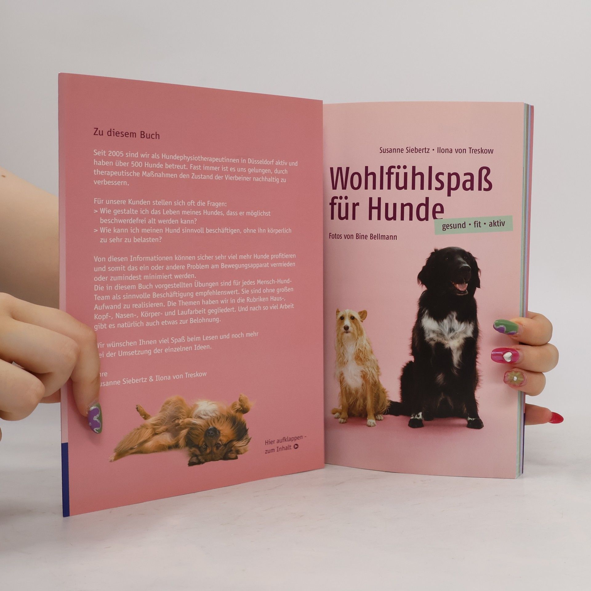 Susanne Siebertz Wohlfühlspaß für Hunde