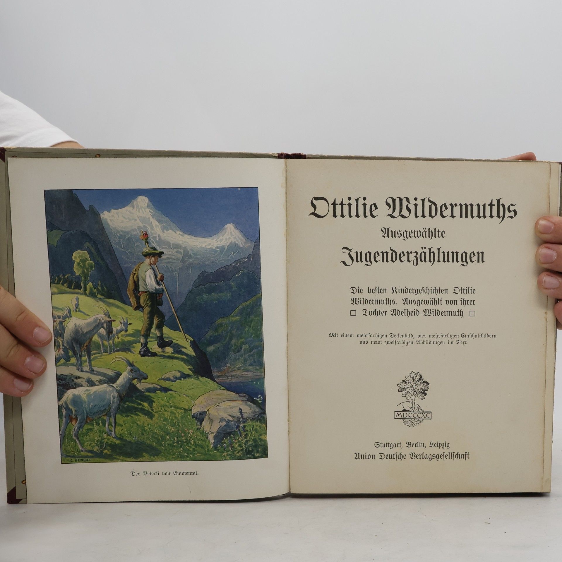 Ottilie Wildermuth Ausgewählte Jugenderzählungen