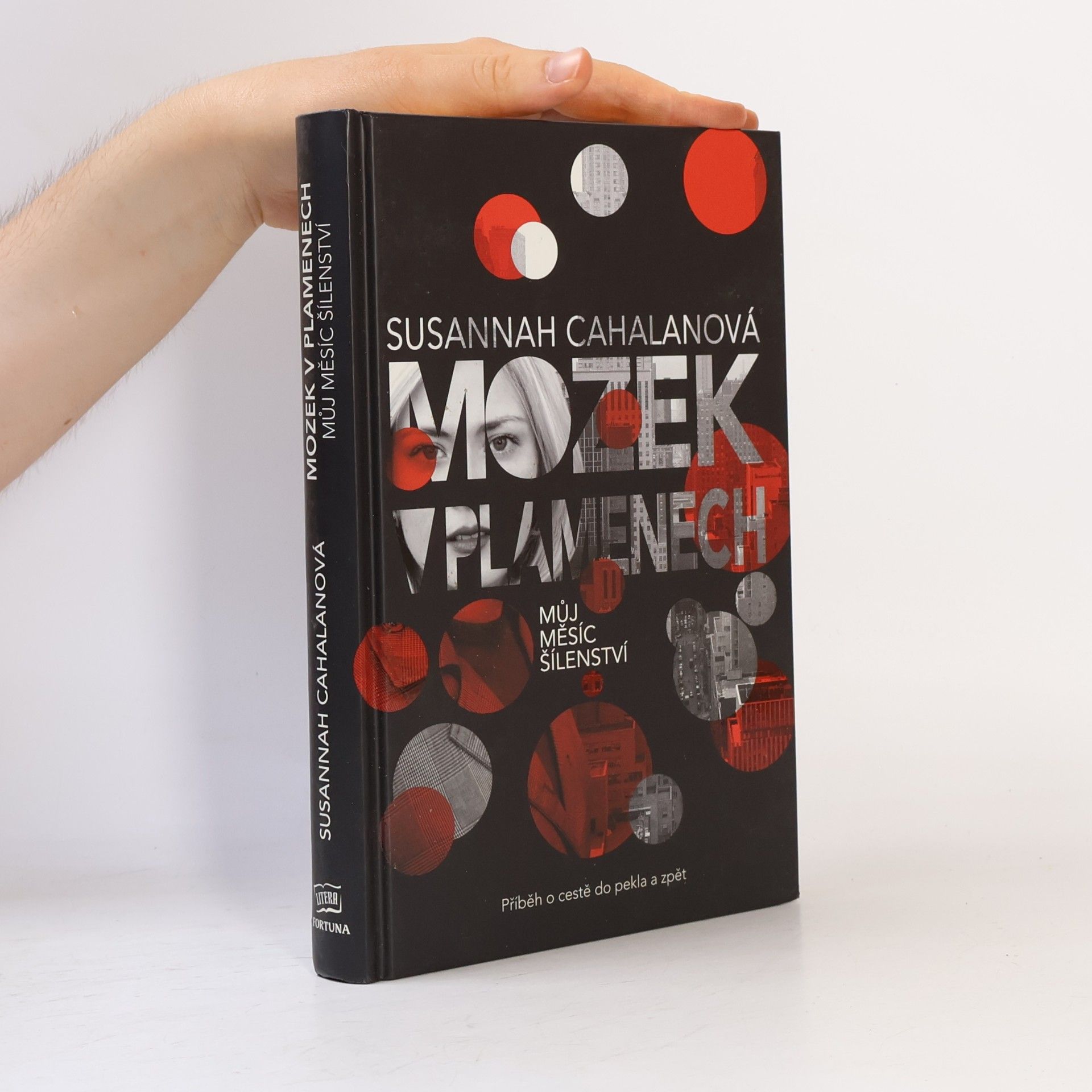 Susannah Cahalan Mozek v plamenech : můj měsíc šílenství