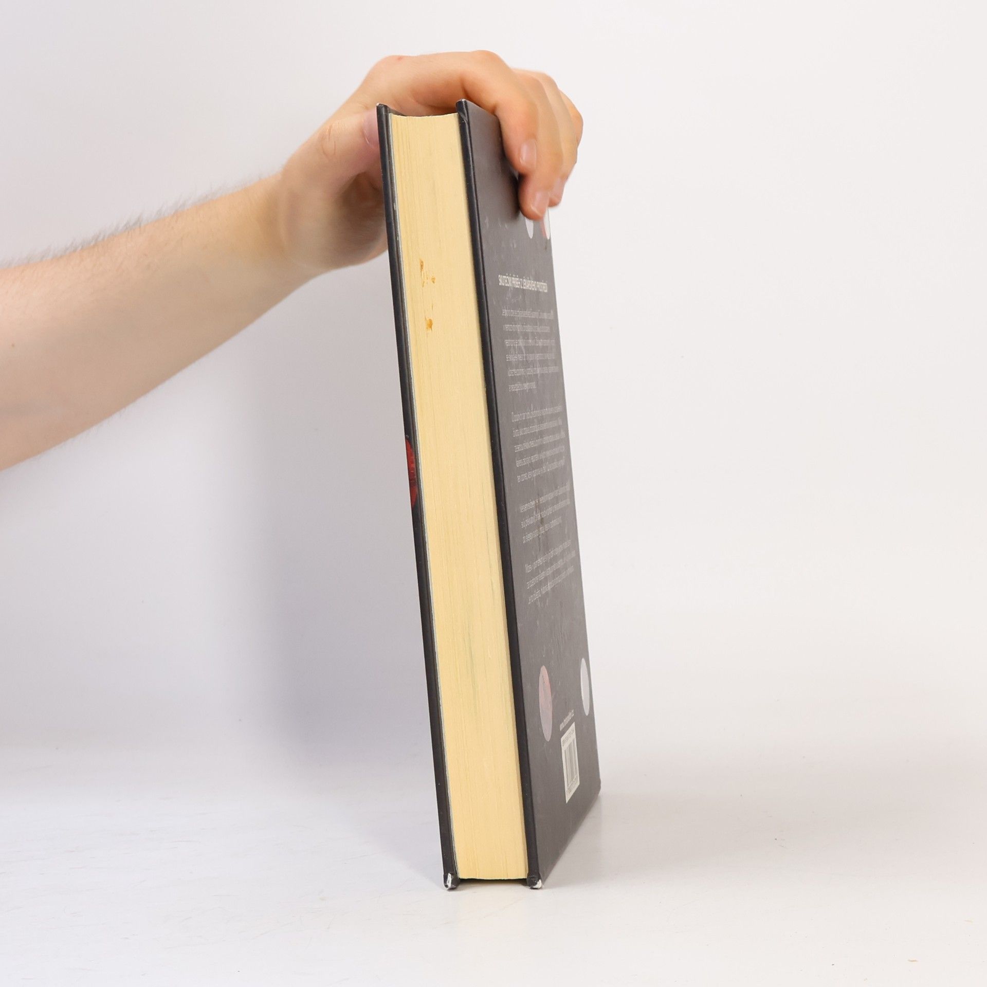 Susannah Cahalan Mozek v plamenech : můj měsíc šílenství