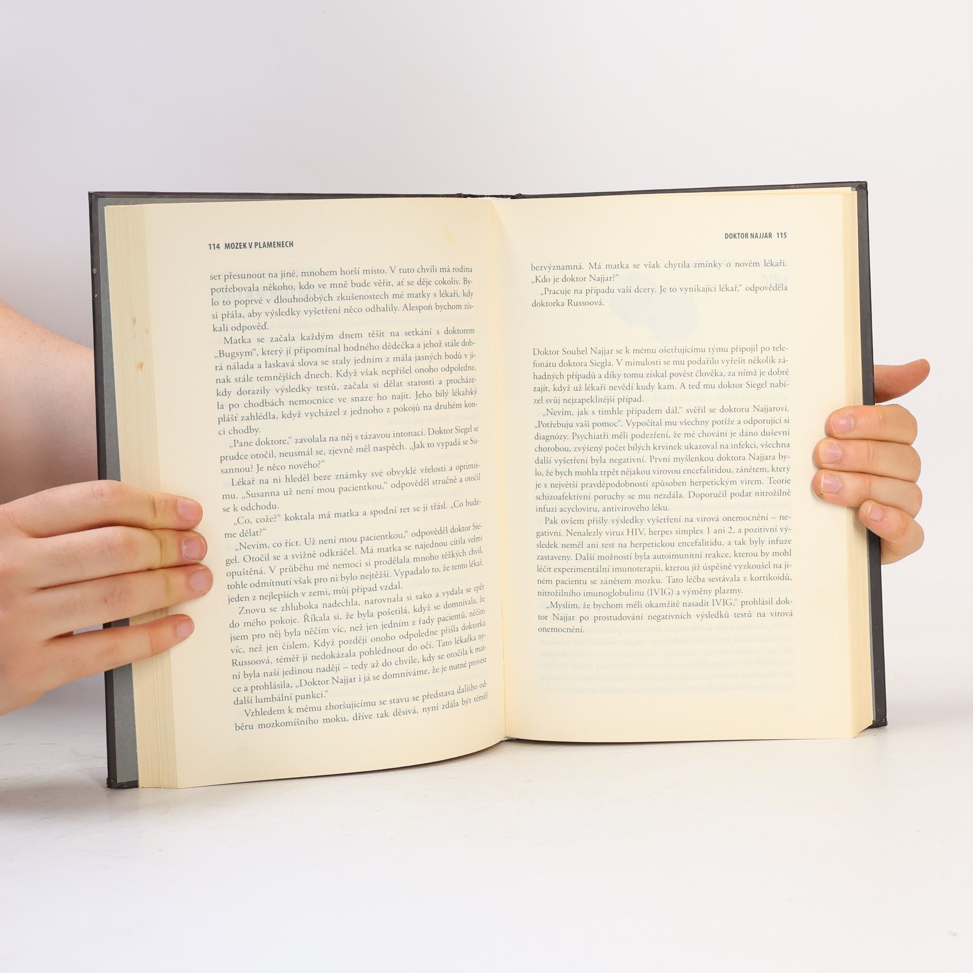 Susannah Cahalan Mozek v plamenech : můj měsíc šílenství