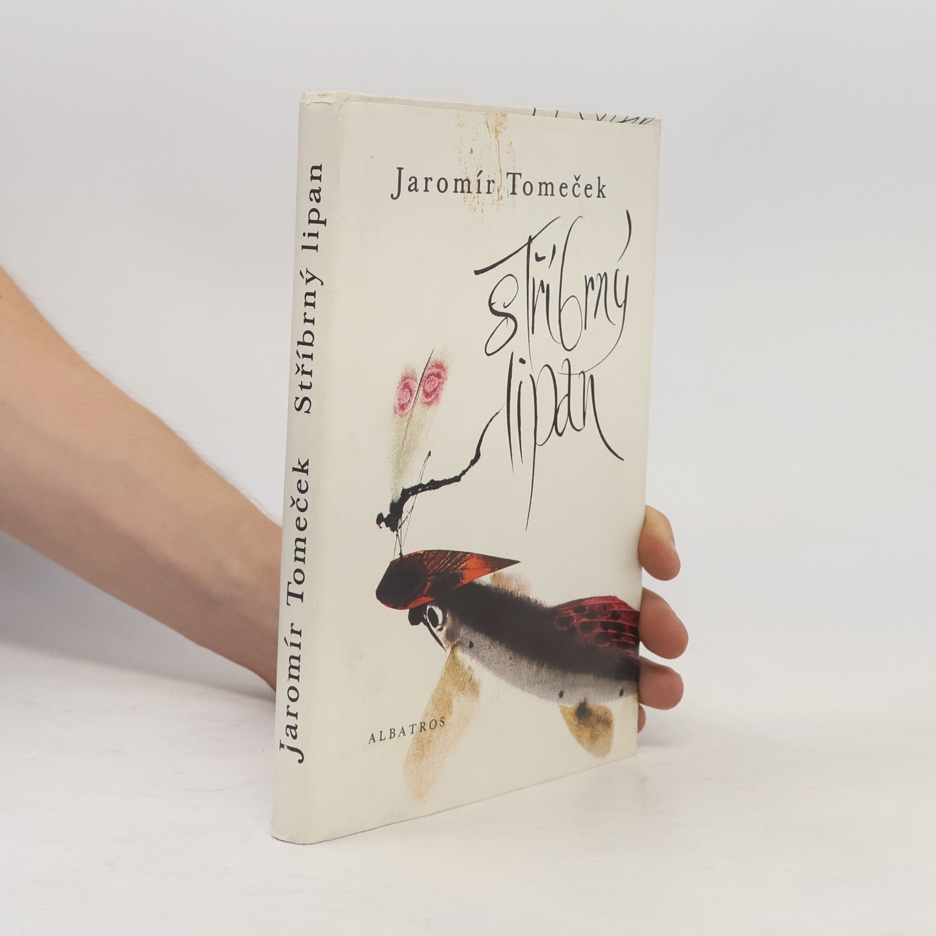 Jaromír Tomeček Stříbrný lipan