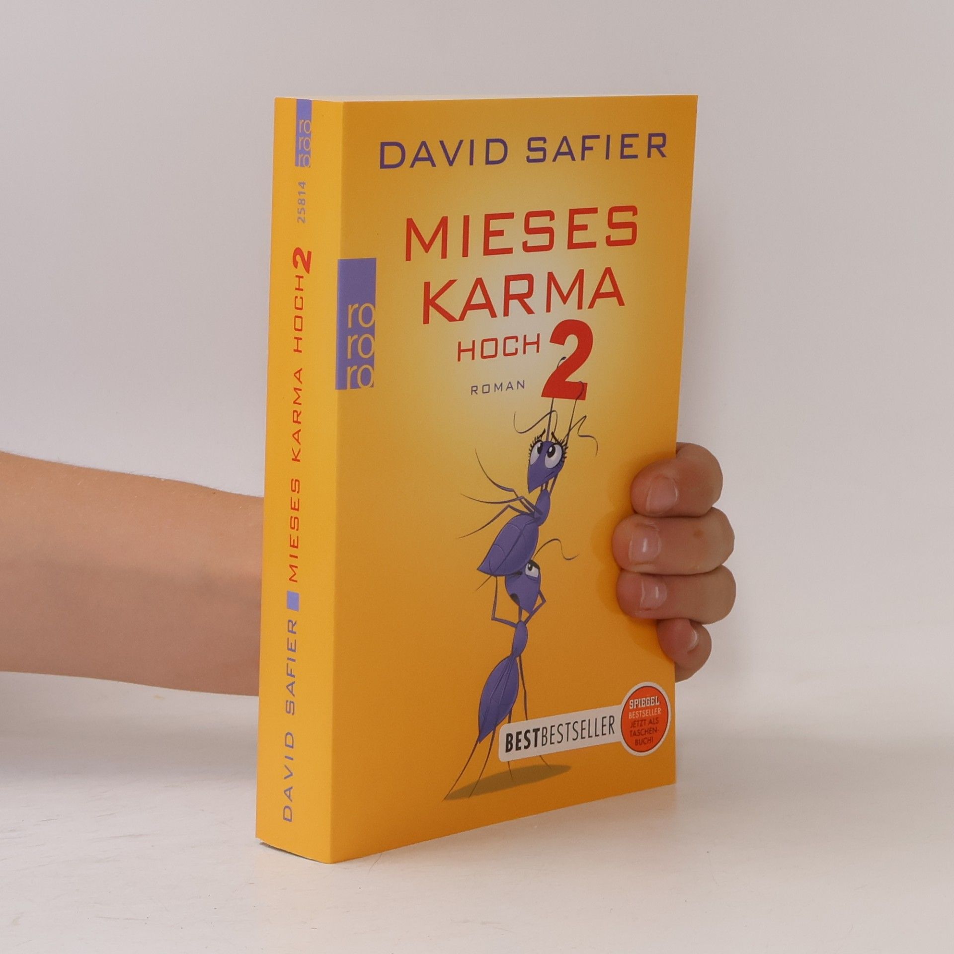 David Safier Mieses Karma hoch 2