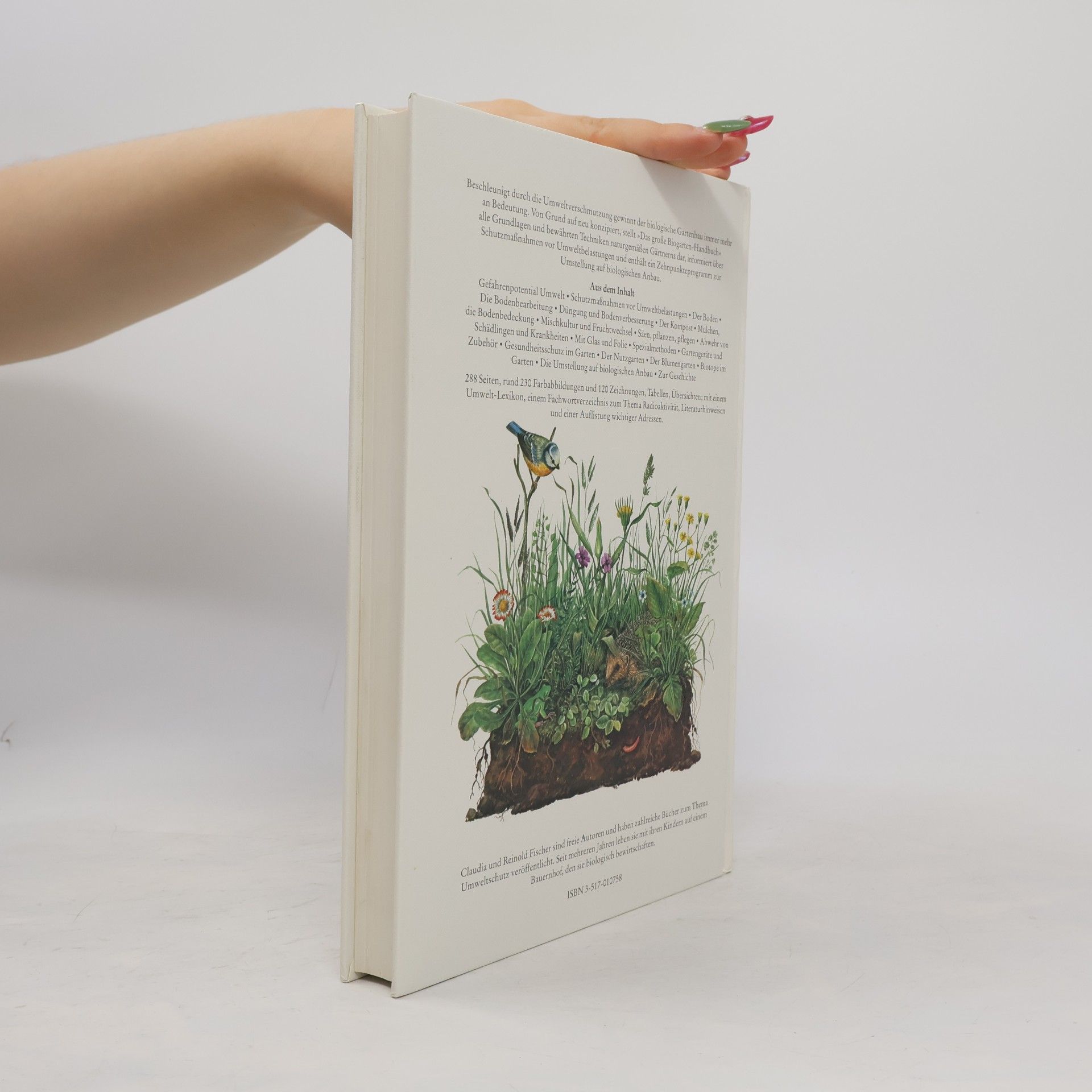 Claudia Fischer-Appelt Das grosse Biogarten-Handbuch