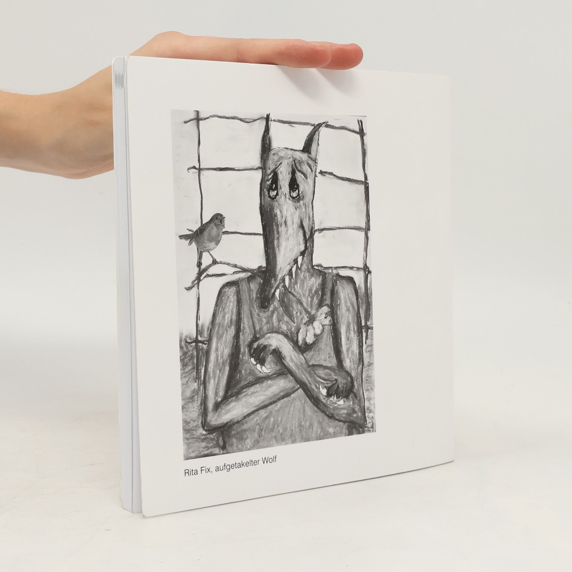 kolektiv Rheinische Literatur-Hefte 30/2021. Spaßvögel