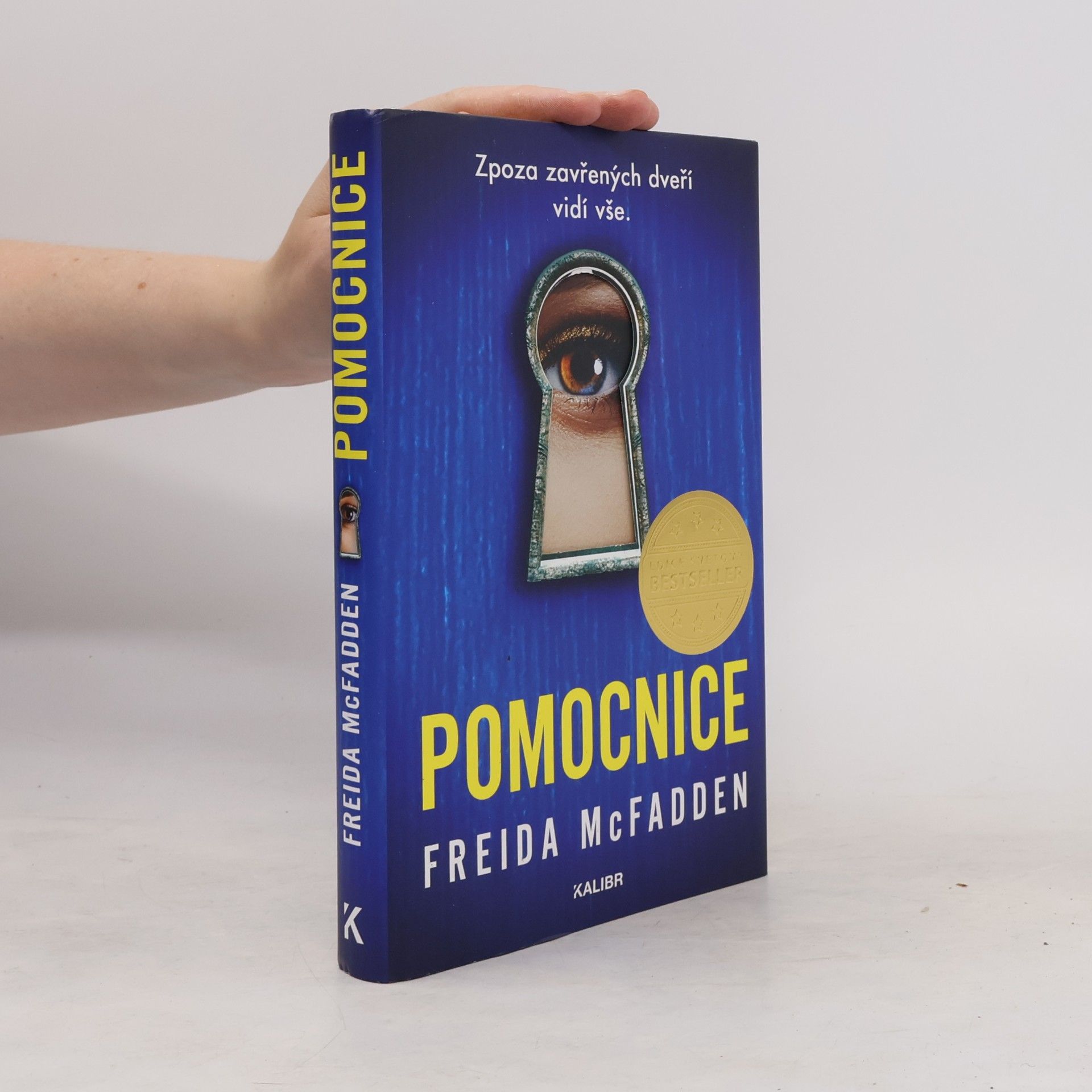 Freida McFadden Pomocnice