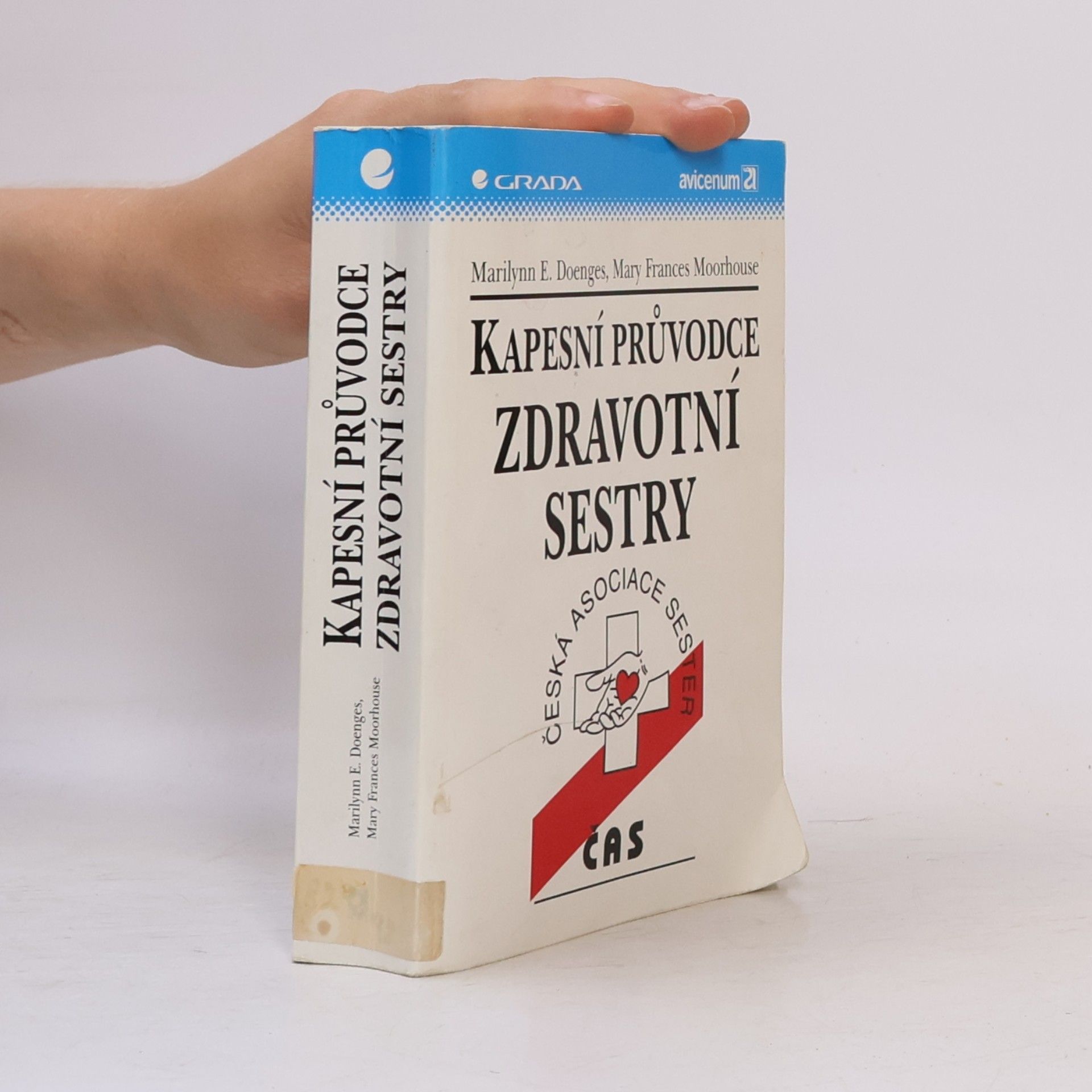 Mary Frances Moorhouse Kapesní průvodce zdravotní sestry
