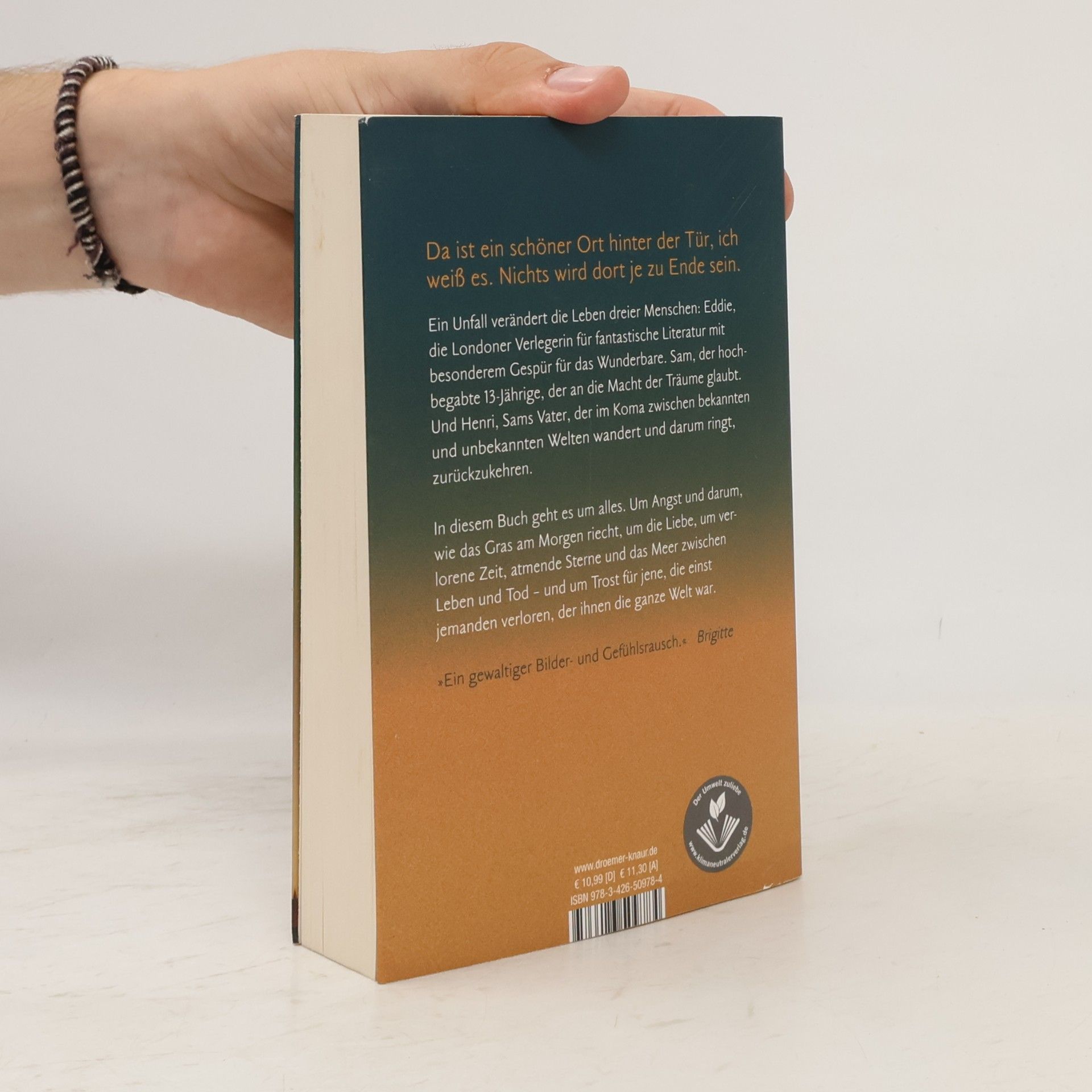 Nina George Das Traumbuch