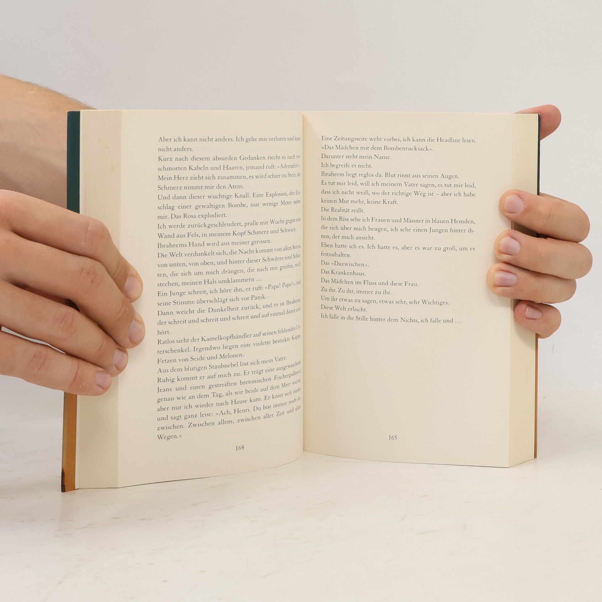 Nina George Das Traumbuch