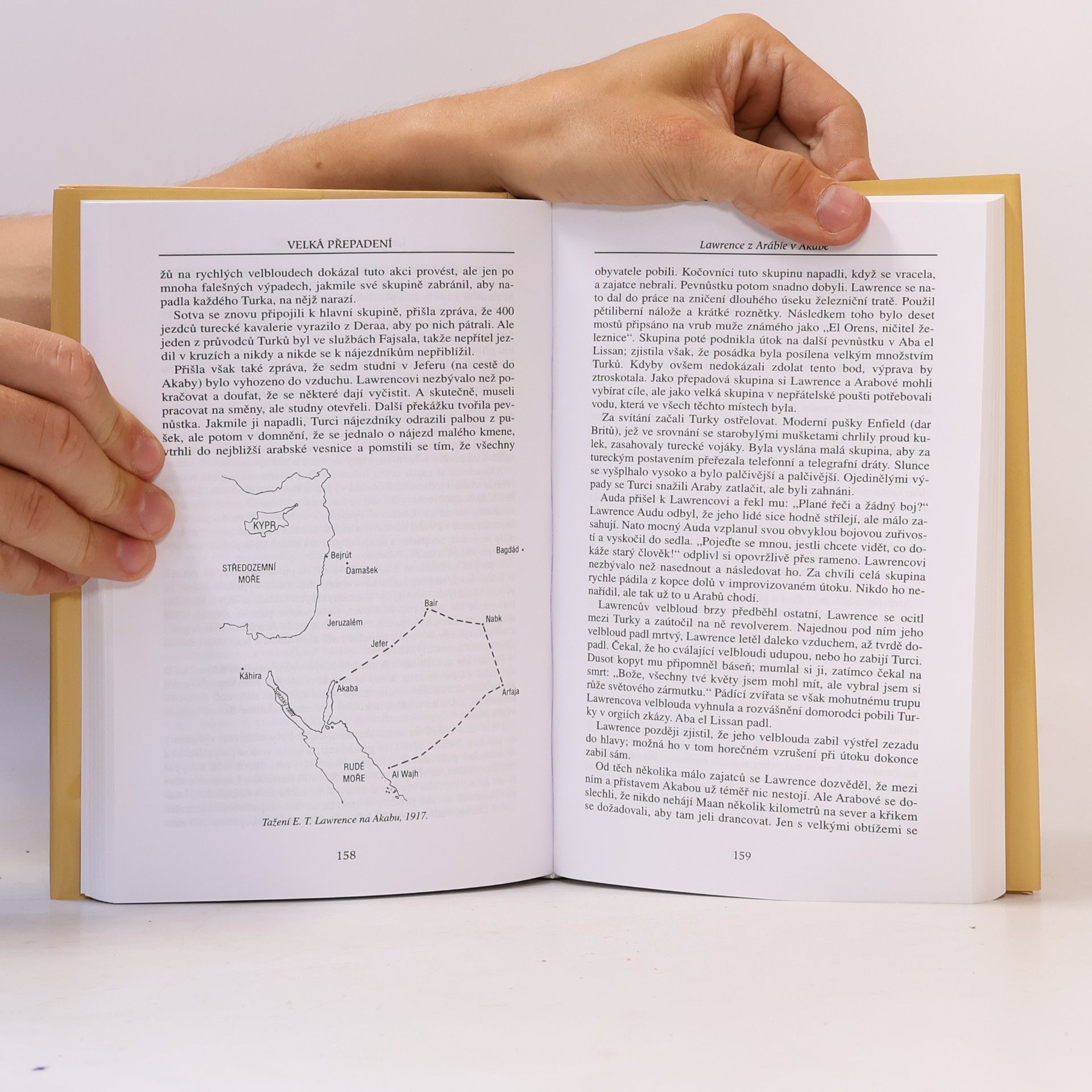 Various authors Velká přepadení : od námořních bitev alžbětinské éry k pouštní operaci v Íránu