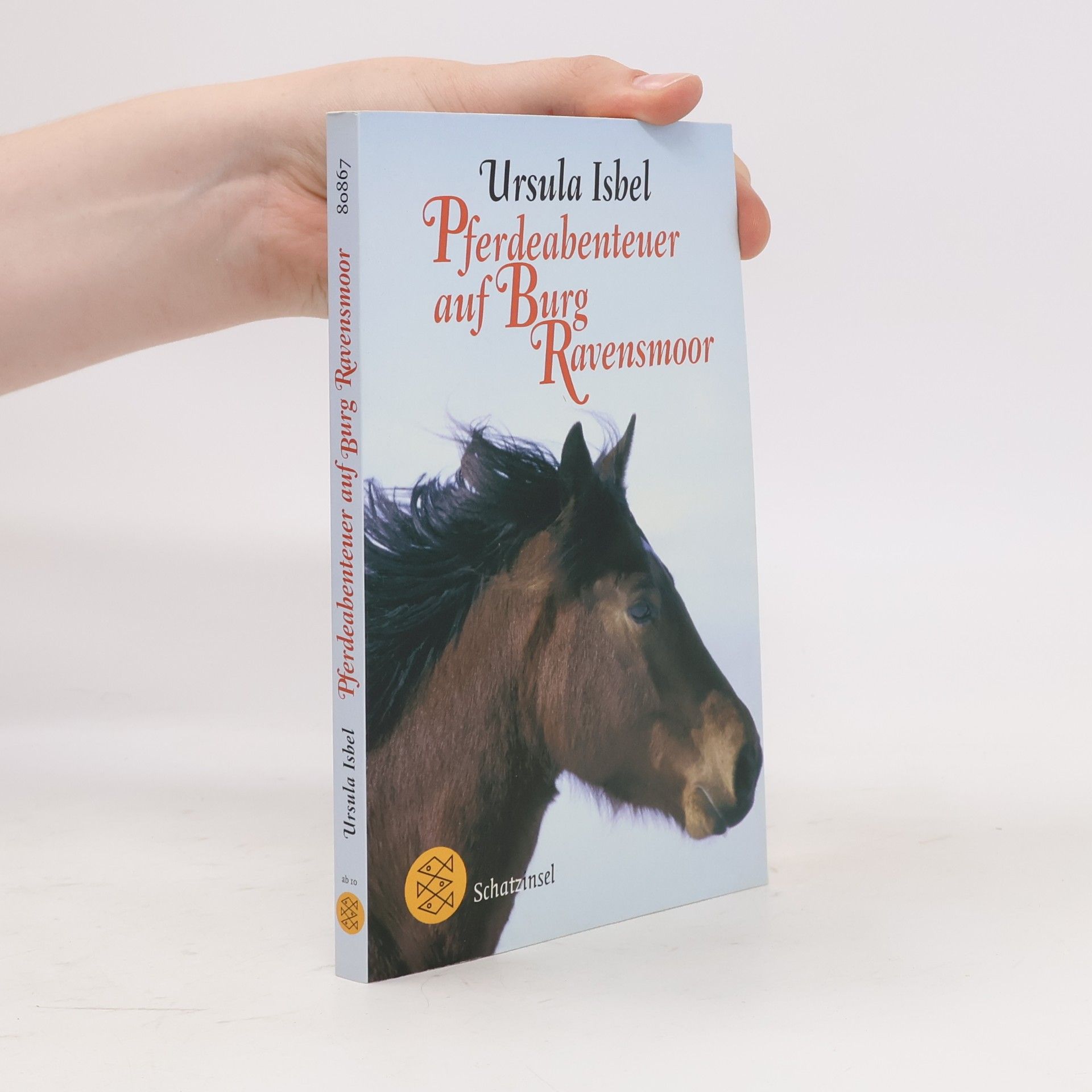 Ursula Isbel Pferdeabenteuer auf Burg Ravensmoor