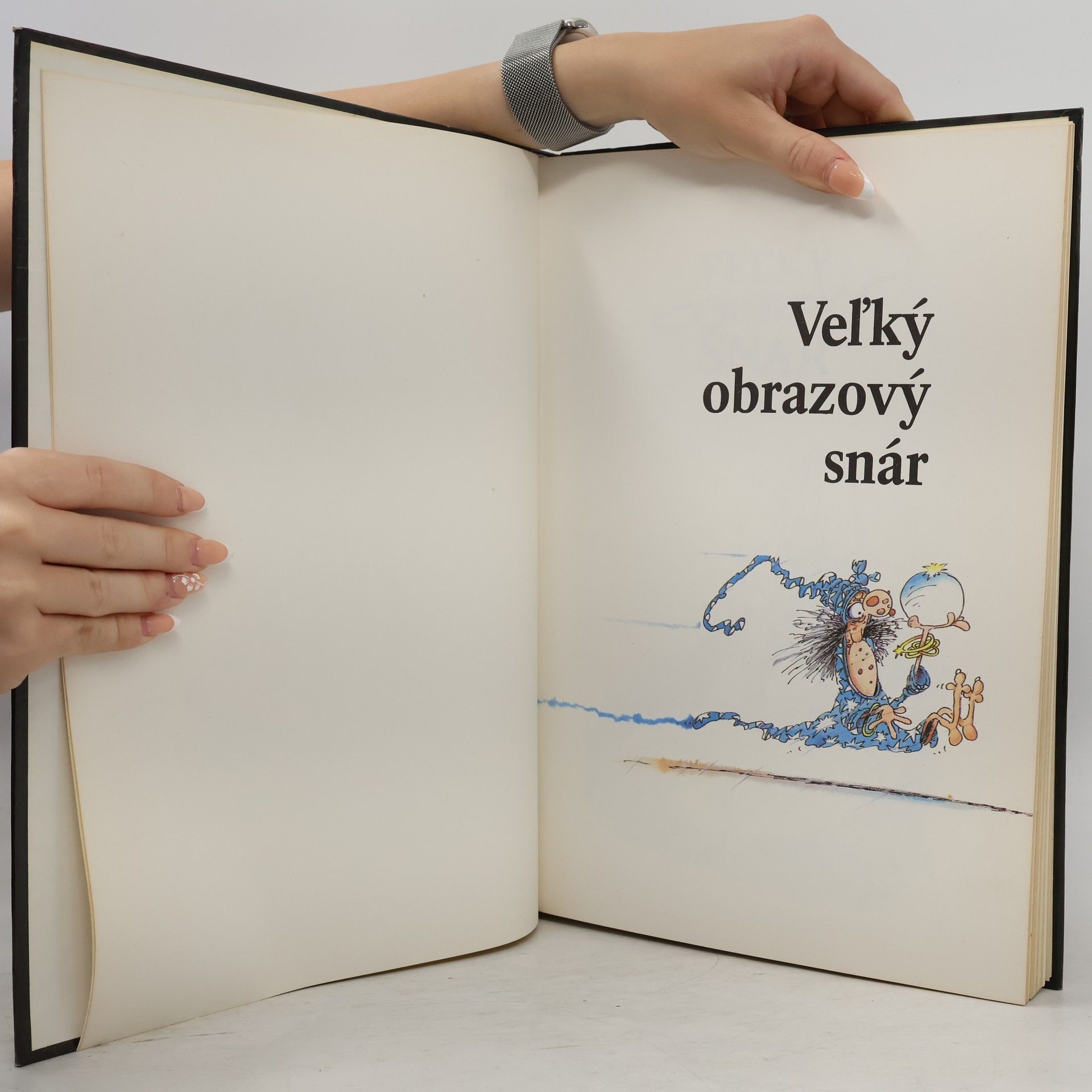 Various authors Veľký obrazový snár