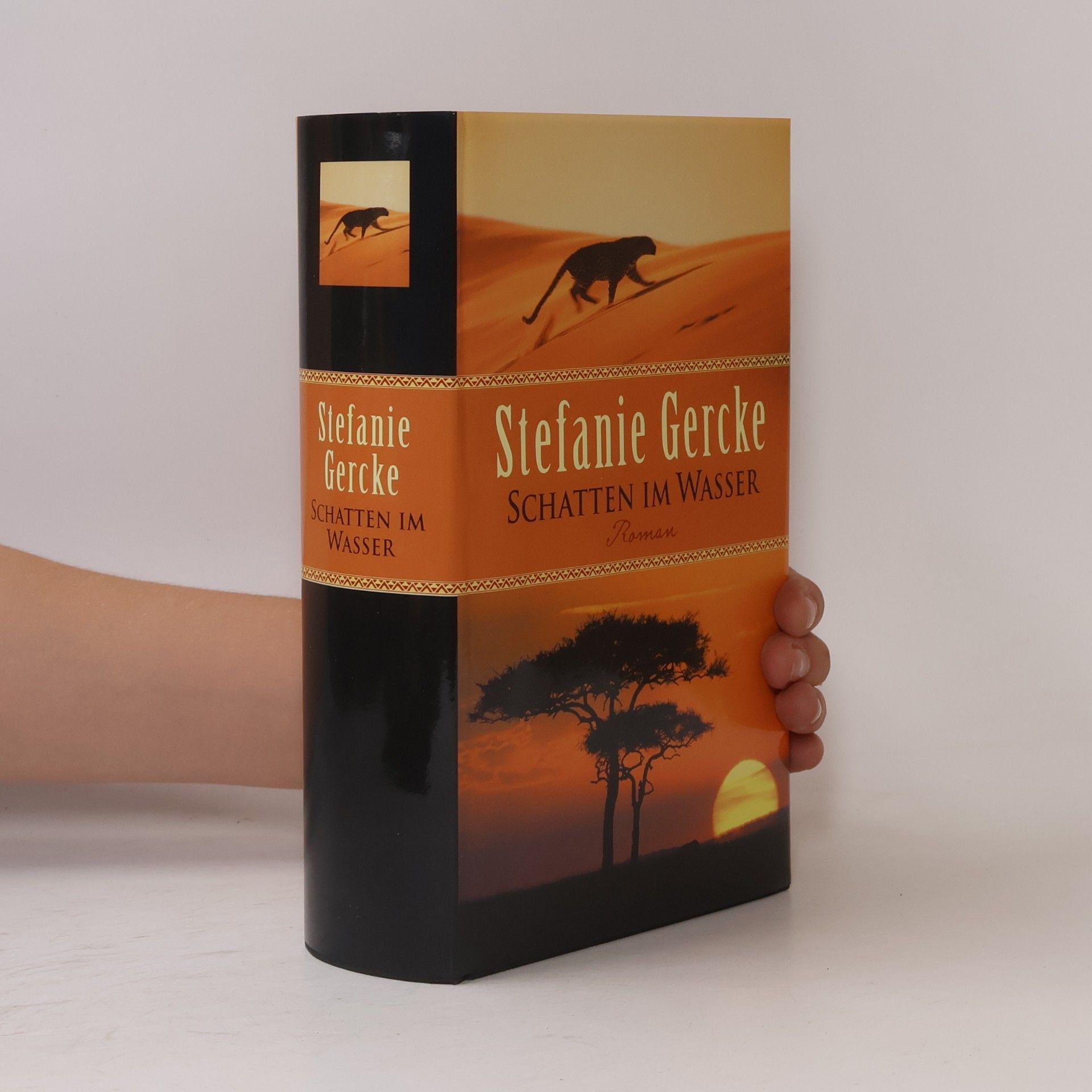Stefanie Gercke Schatten im Wasser