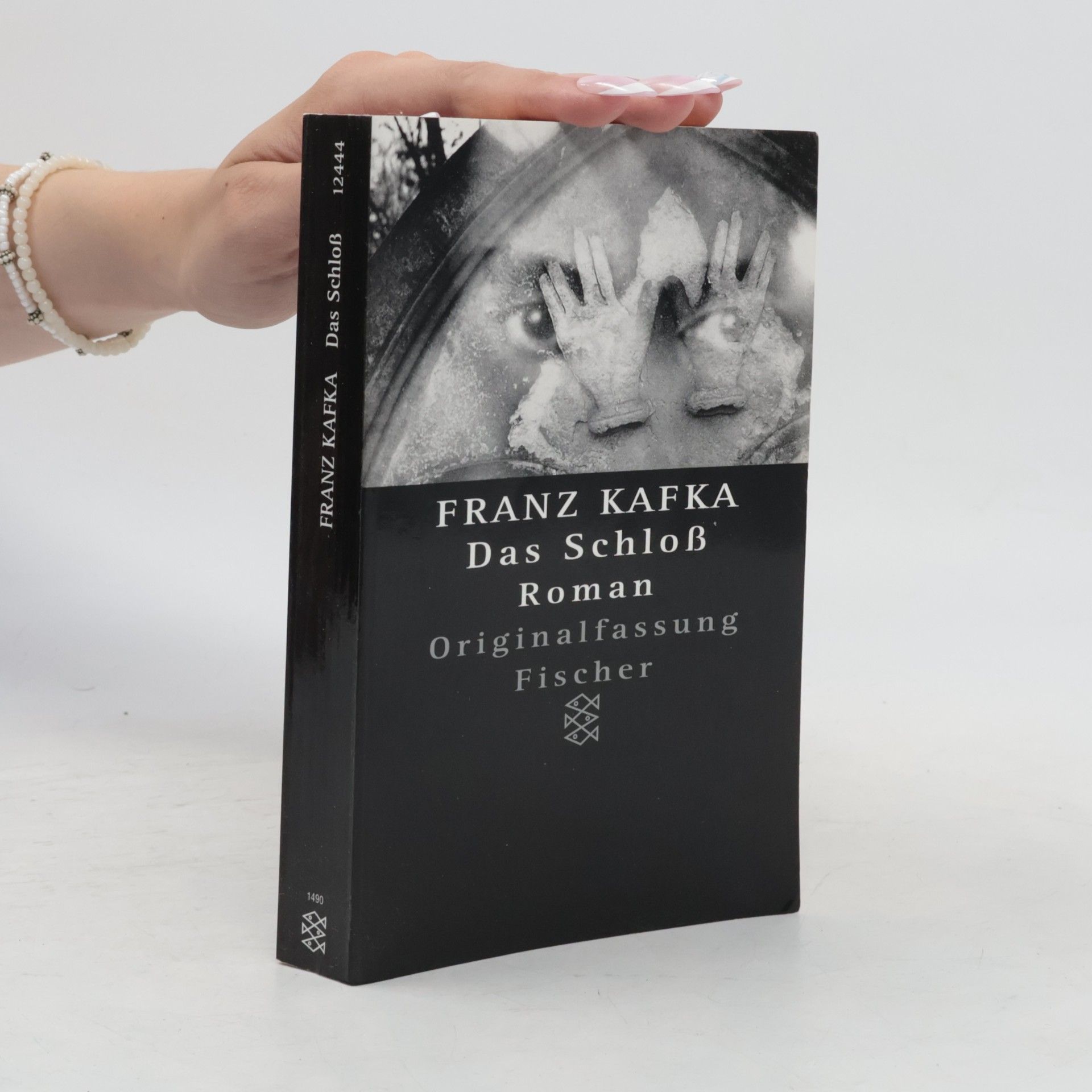 Franz Kafka Das Schloss