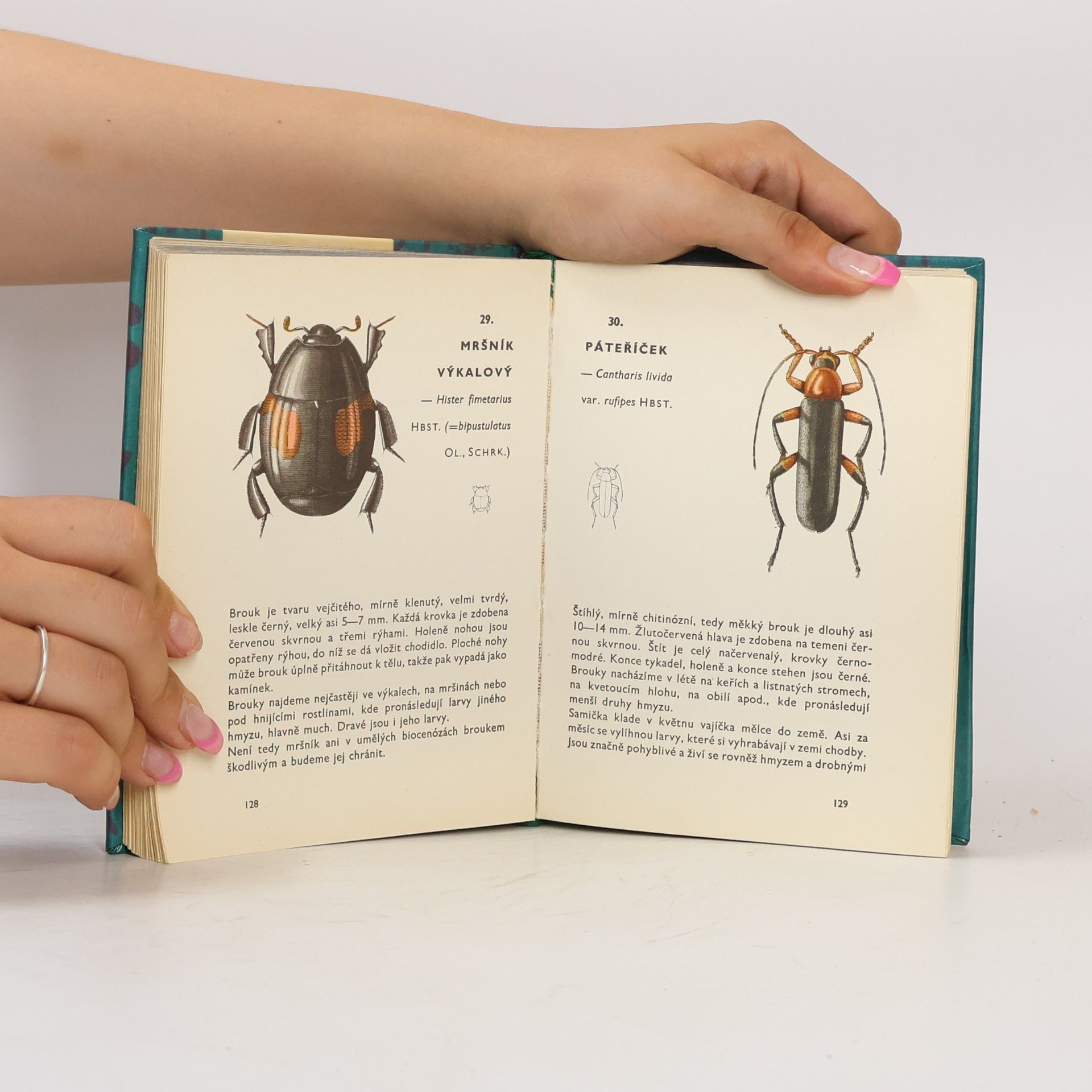 Vladimír Javorek Kapesní atlas brouků