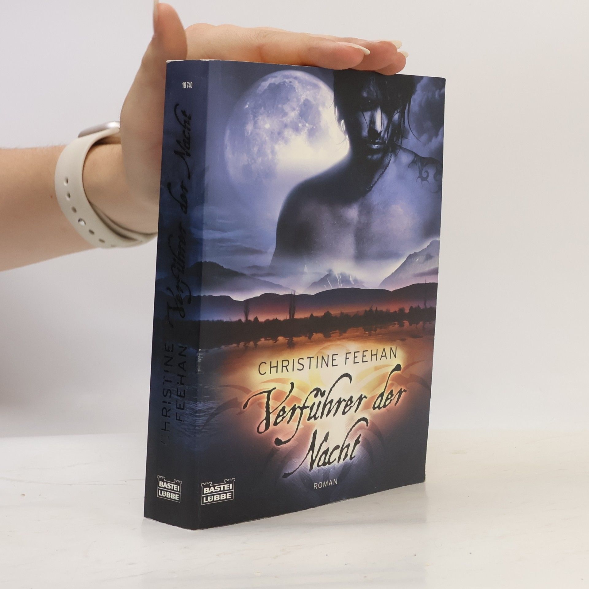 Christine Feehan Verführer der Nacht