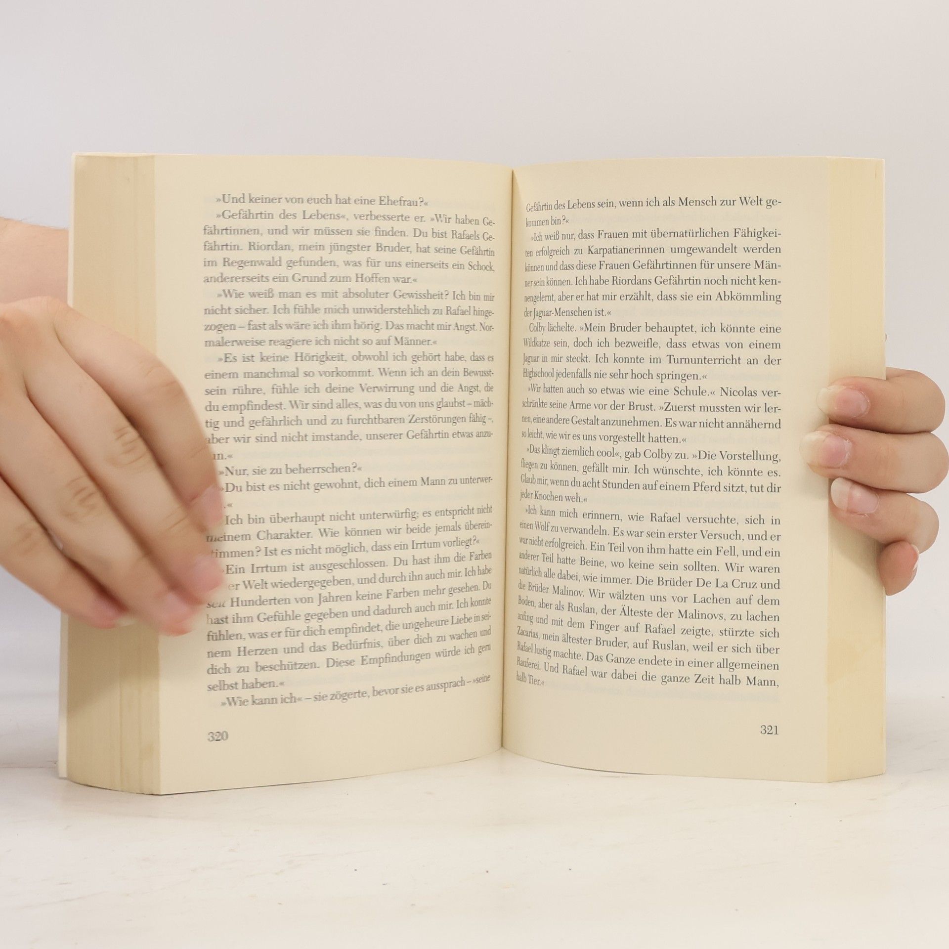 Christine Feehan Verführer der Nacht